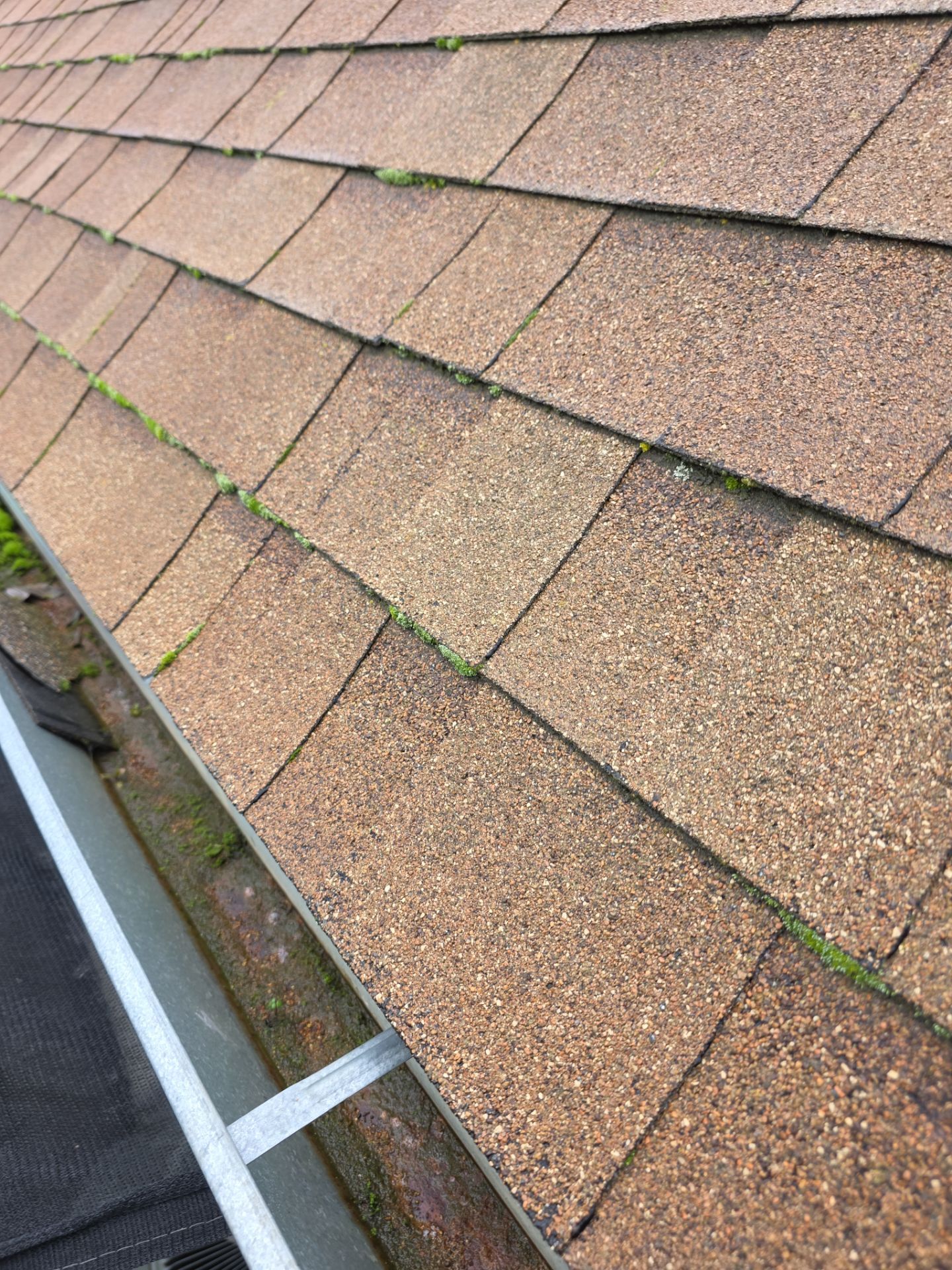 Roof Rejuvenation using Roof Maxx Treatment by Roof Maxx of Folsom