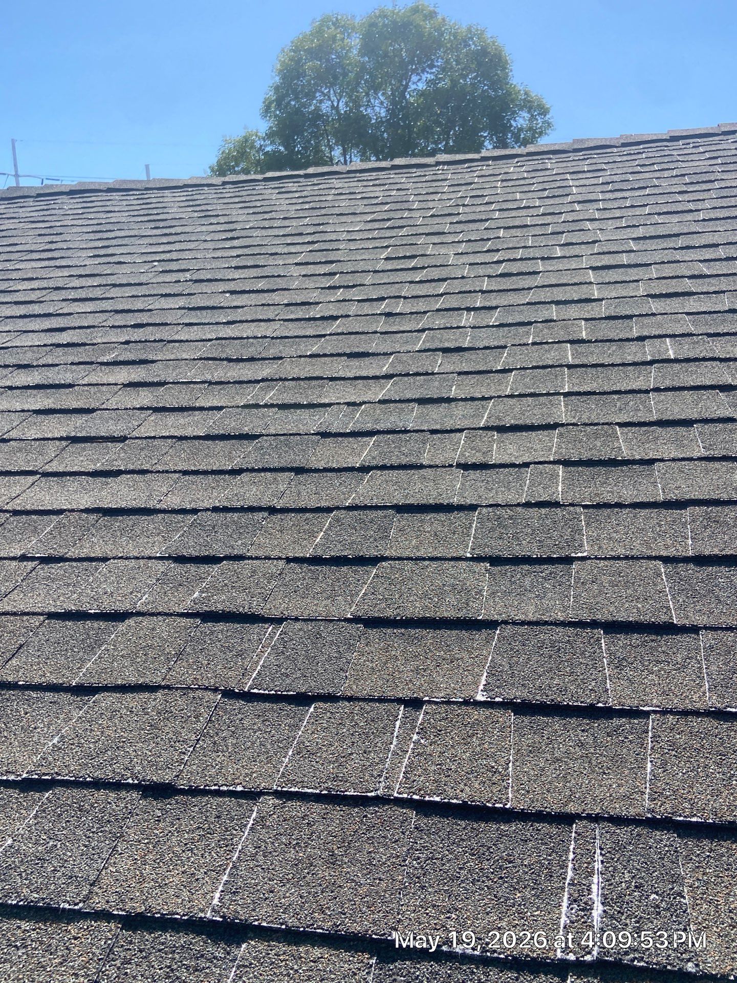 Roof Rejuvenation using Roof Maxx Treatment by Roof Maxx of Folsom