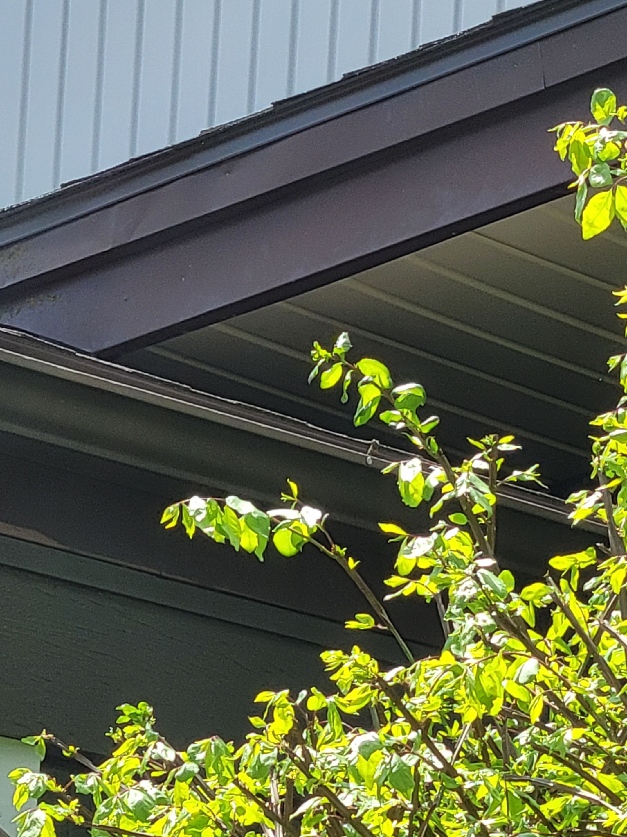 Christina Decosta Personal Home by Silver Leaf Contracting 