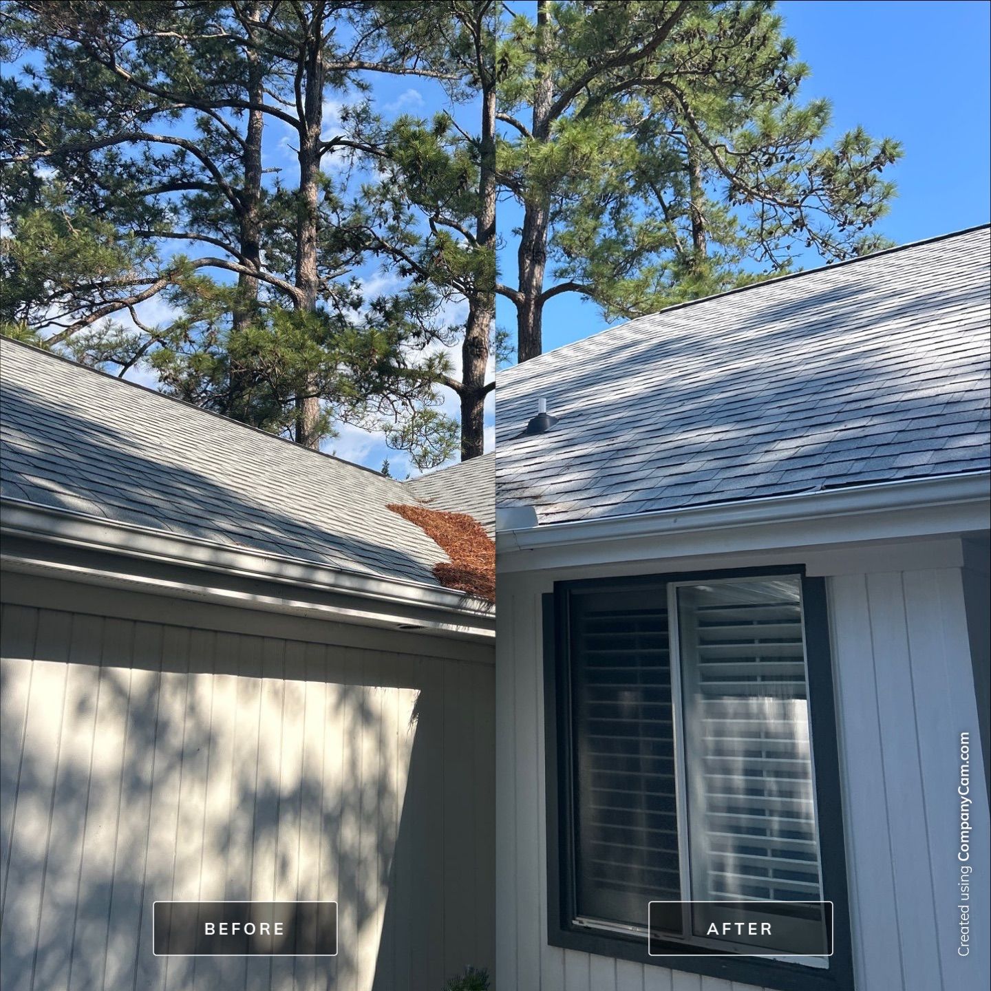 House Washing in Wilmington by Shark Power Washing