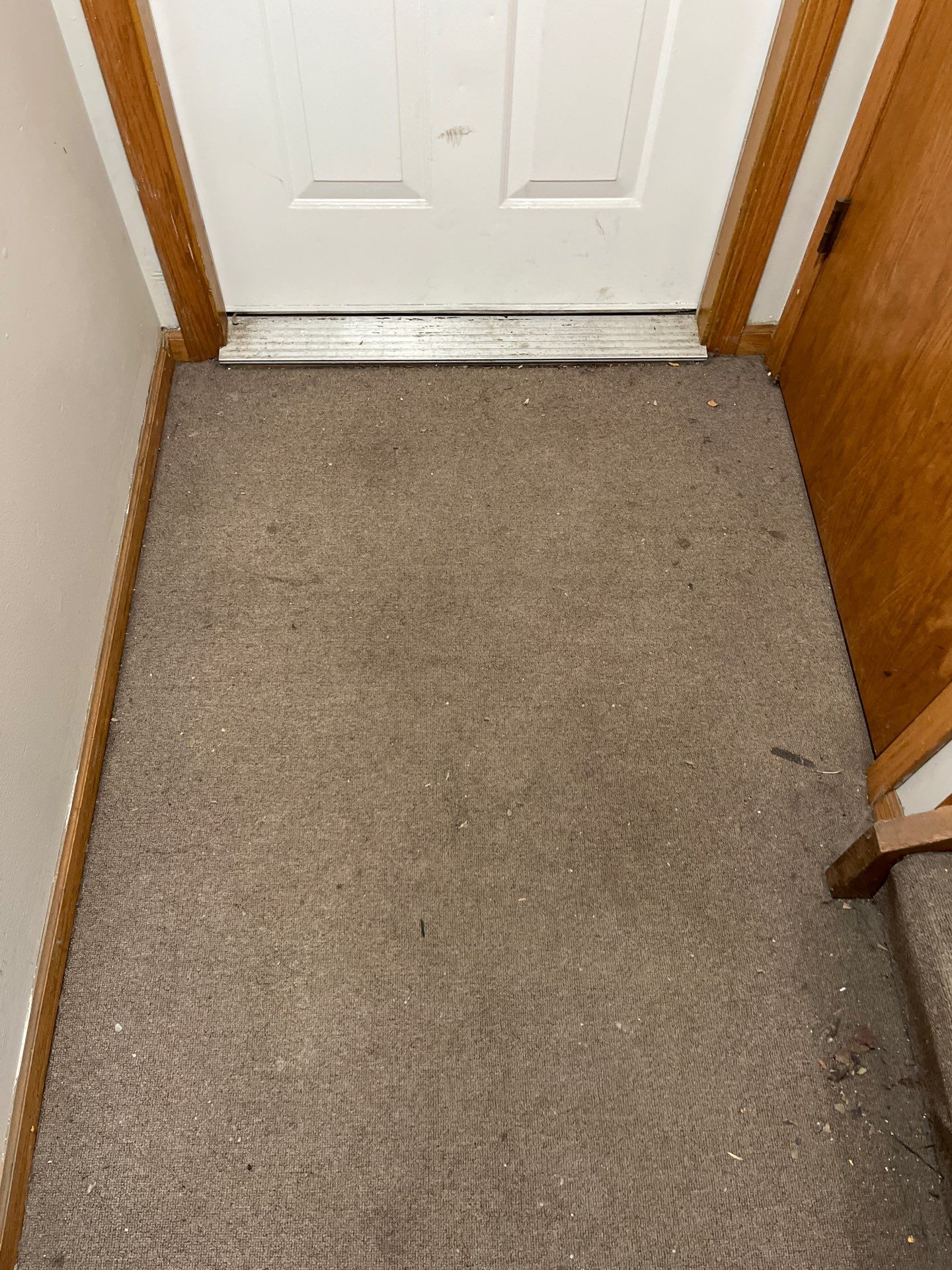 Project in Chicago by Xo Clean Services 