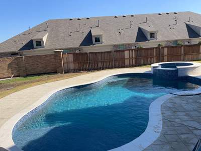 Freeform Pool with Raised Spa and Tanning Ledge