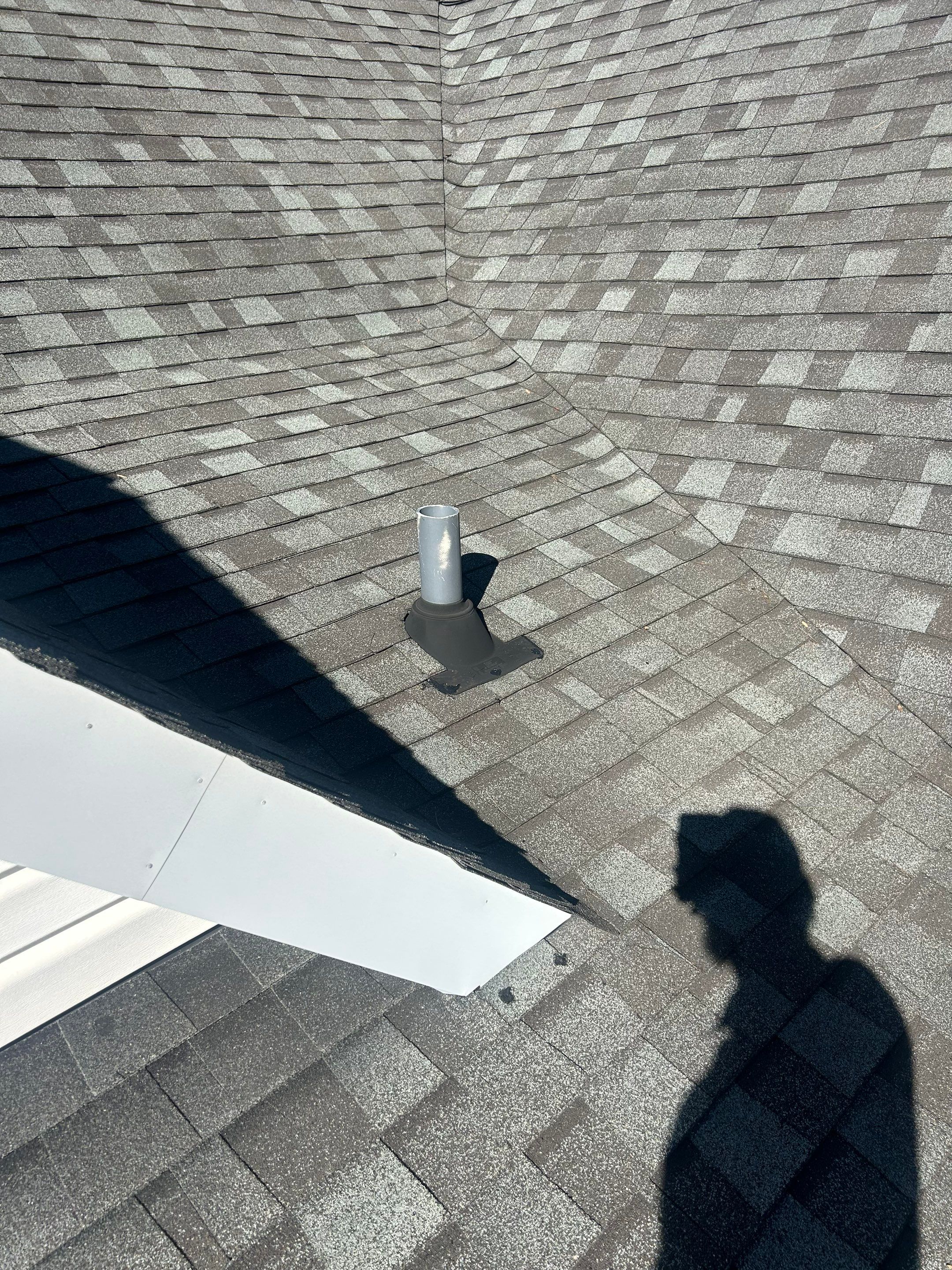 Roofsters featured photo.