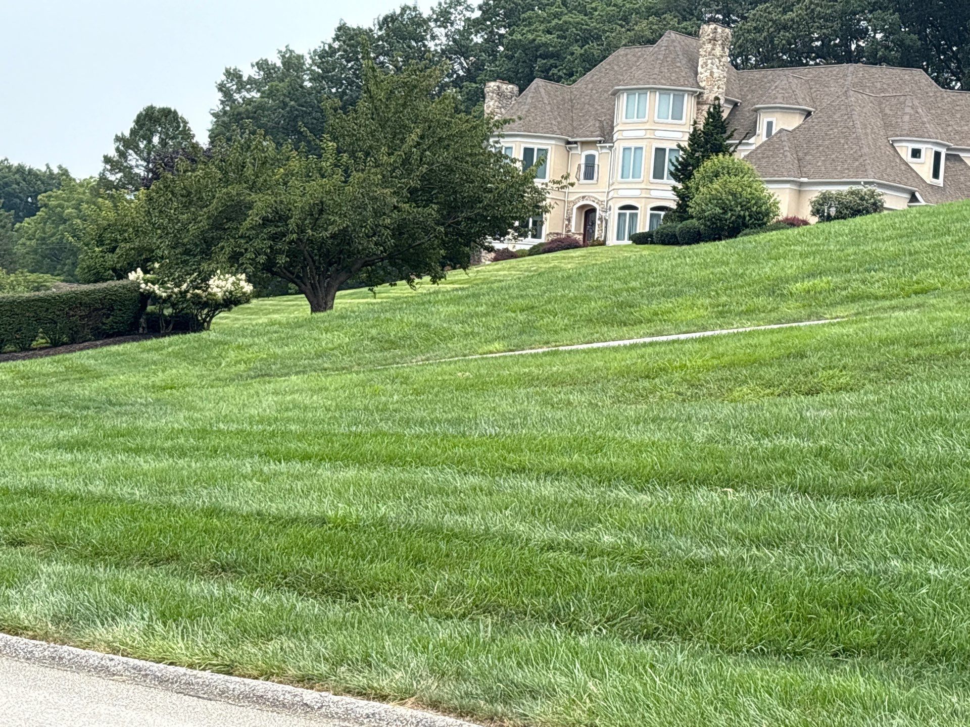 York Pa by Go Green CLC