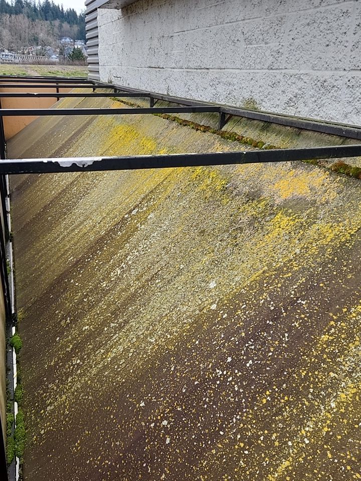 Soft Wash using Soft wash solution by Willamette Outdoor Wash LLC