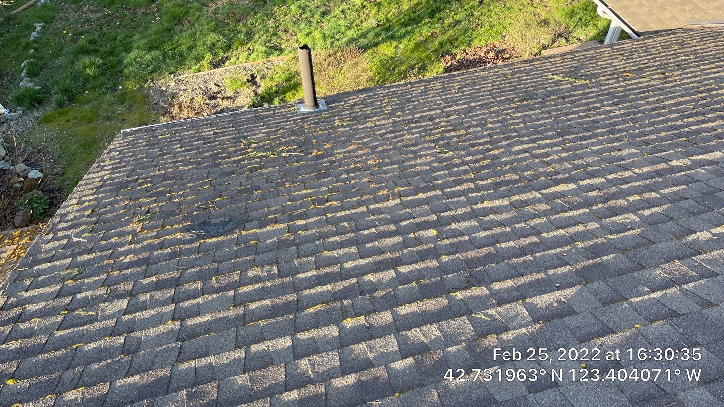 Silver Birch Shingles by Reimagine Roofing