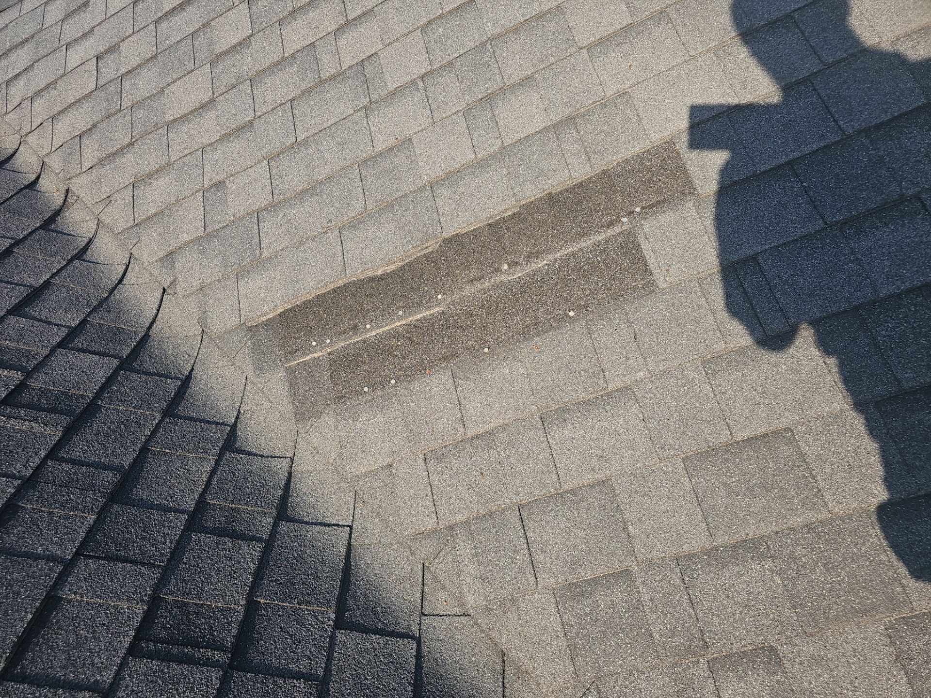 Turtle Roofing featured photo.