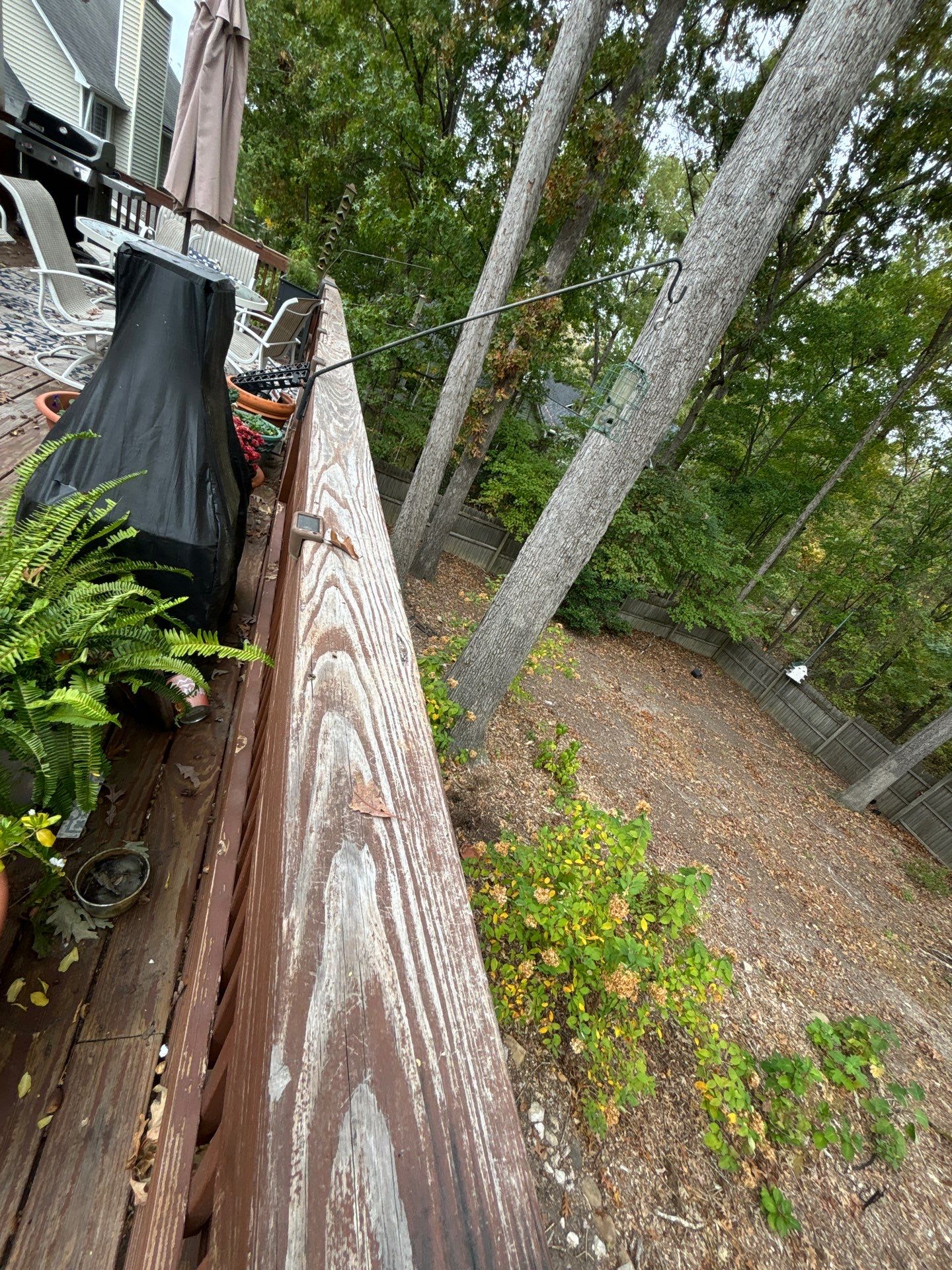 Coated Deck using Wood Sealant by DuraSeal
