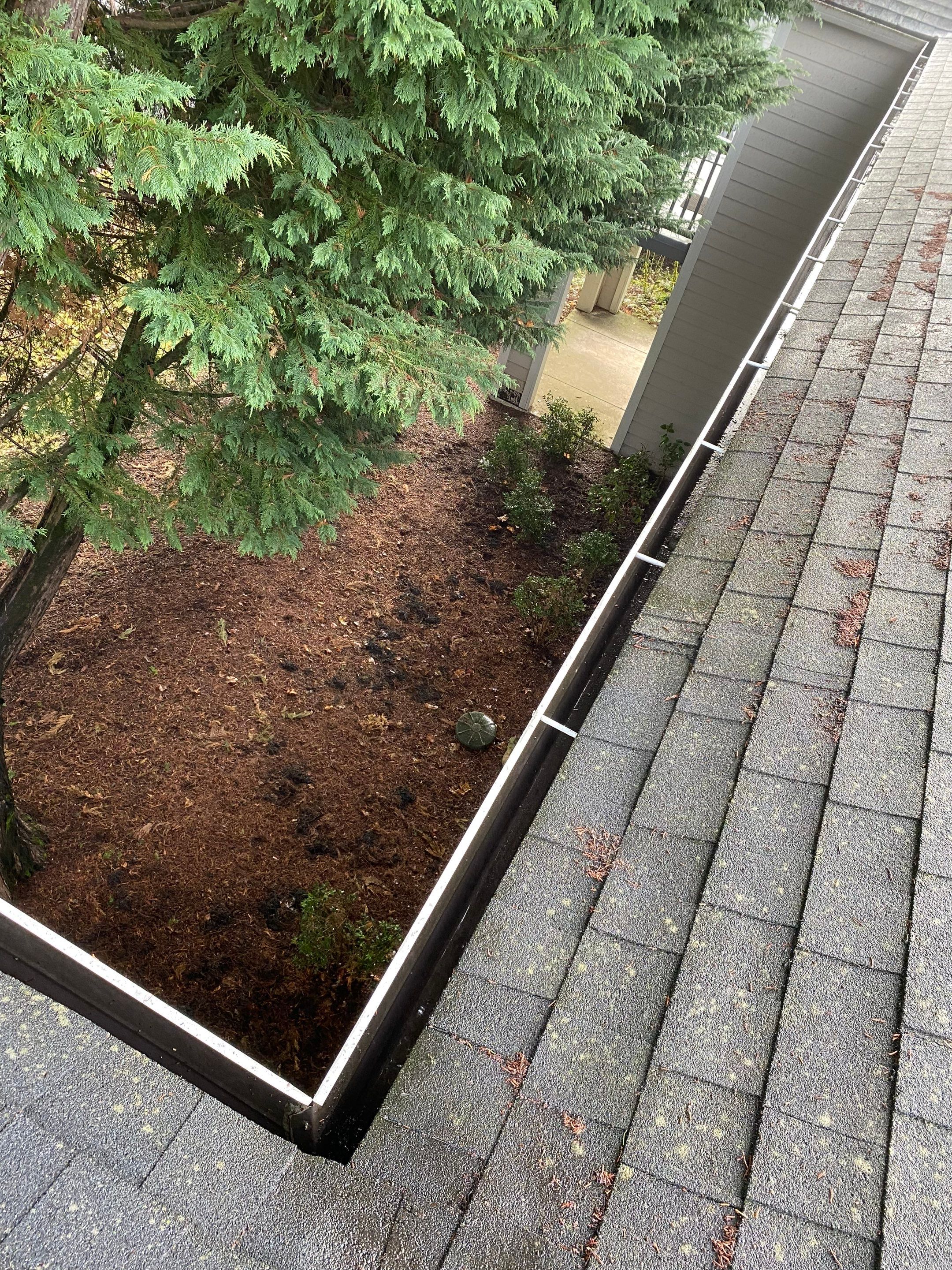 Commercial gutter cleaning vancouver after photo with clean gutters