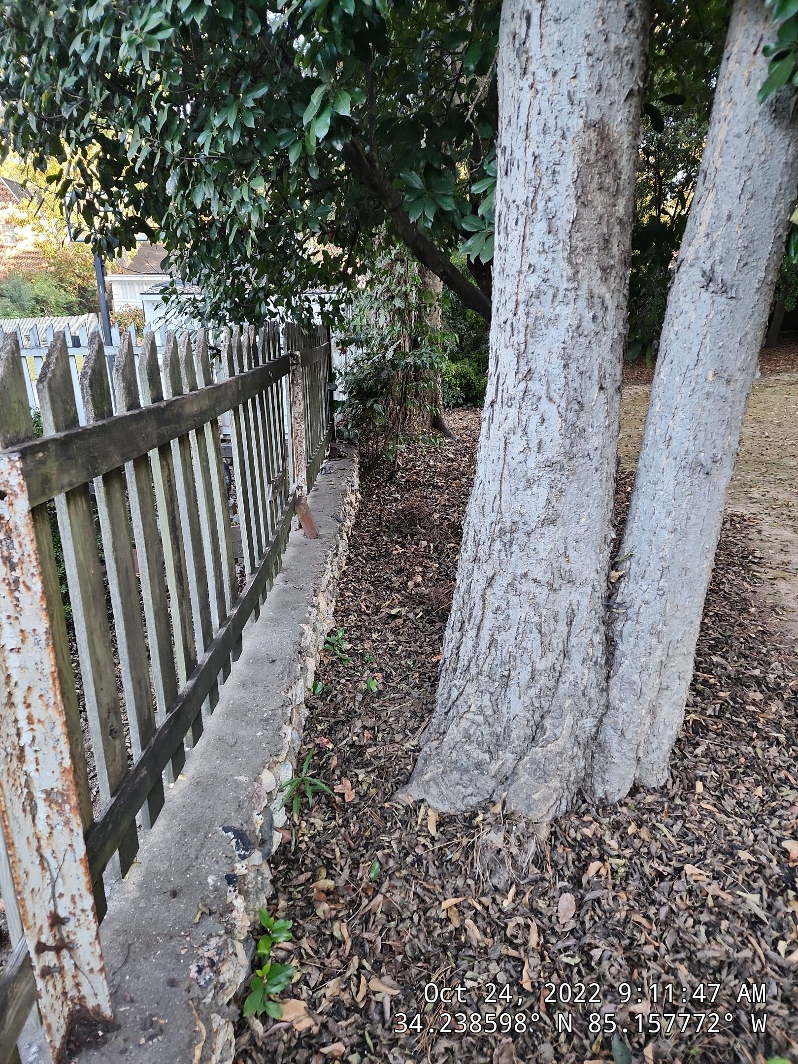 6' Wood Privacy with Dog Eared Pickets by Titans of Timber Fence & Stain