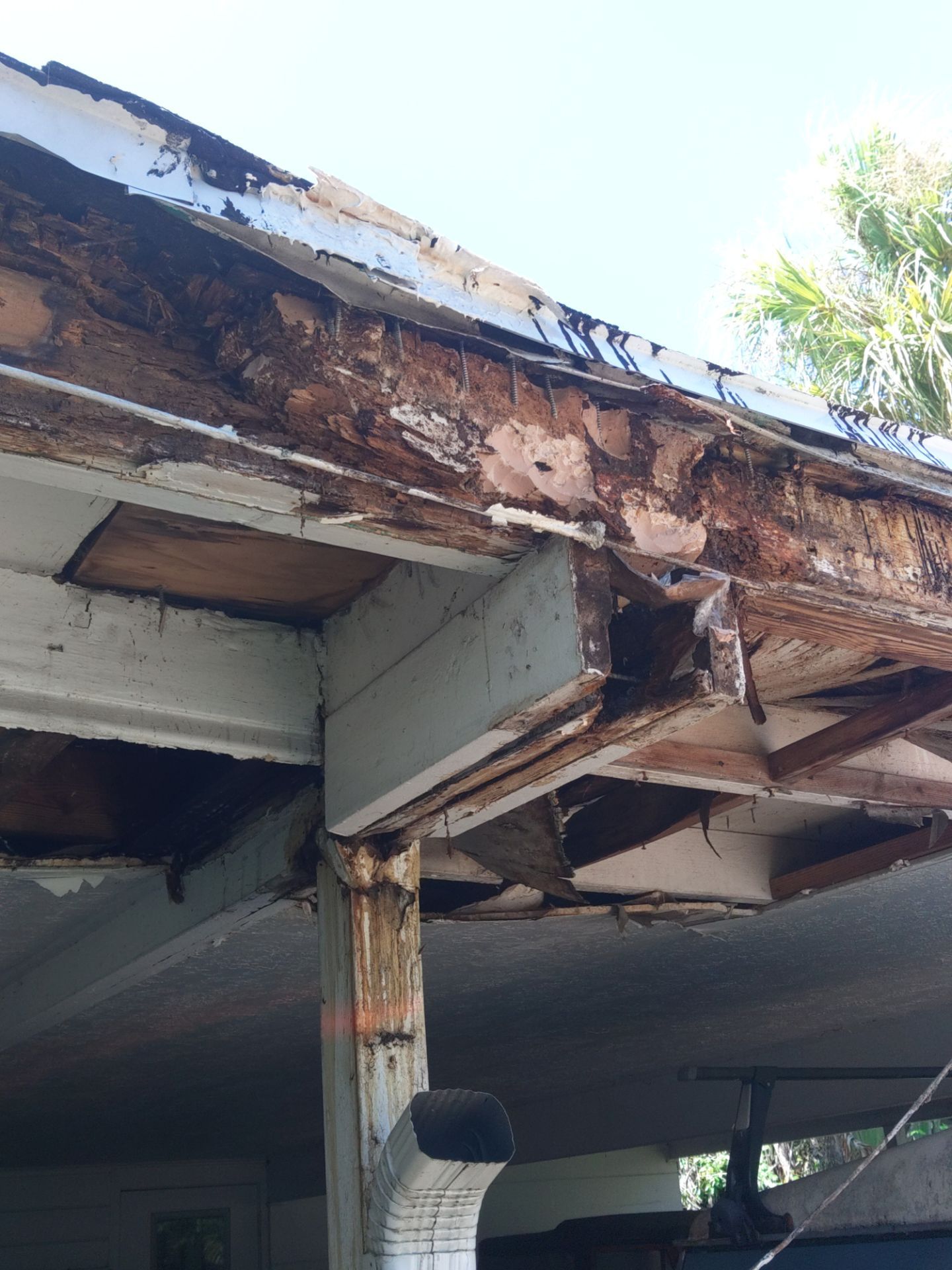 Gutter and Fascia Repair and Maintenance in Siesta Key FL by Gutter Professors
