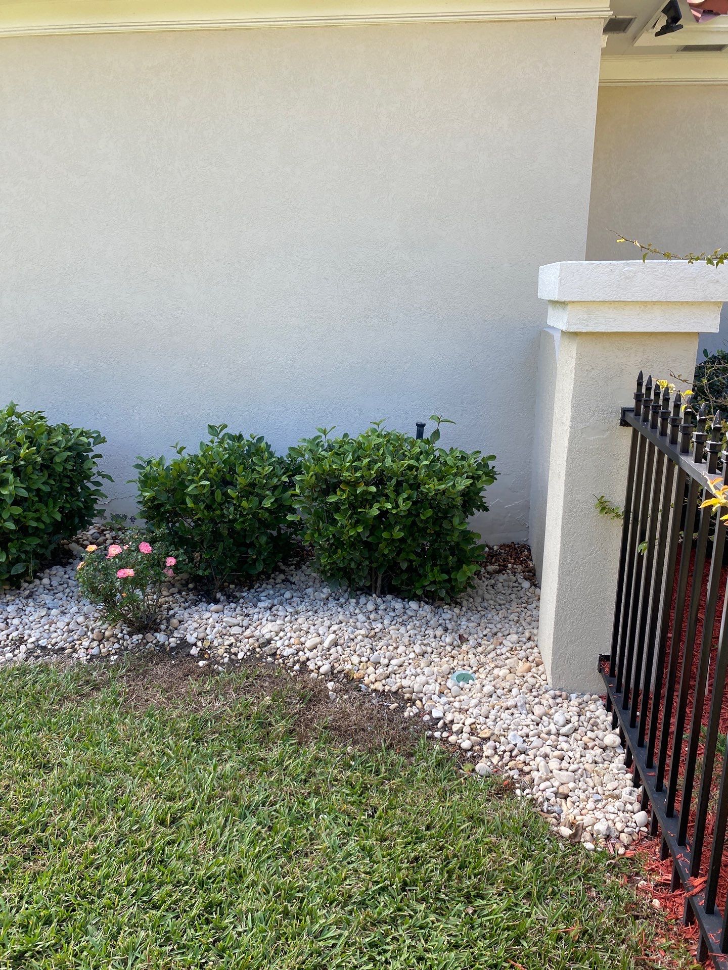 Deerwood Resident | Palm Trimming & Ground Cover by ProGreen Services