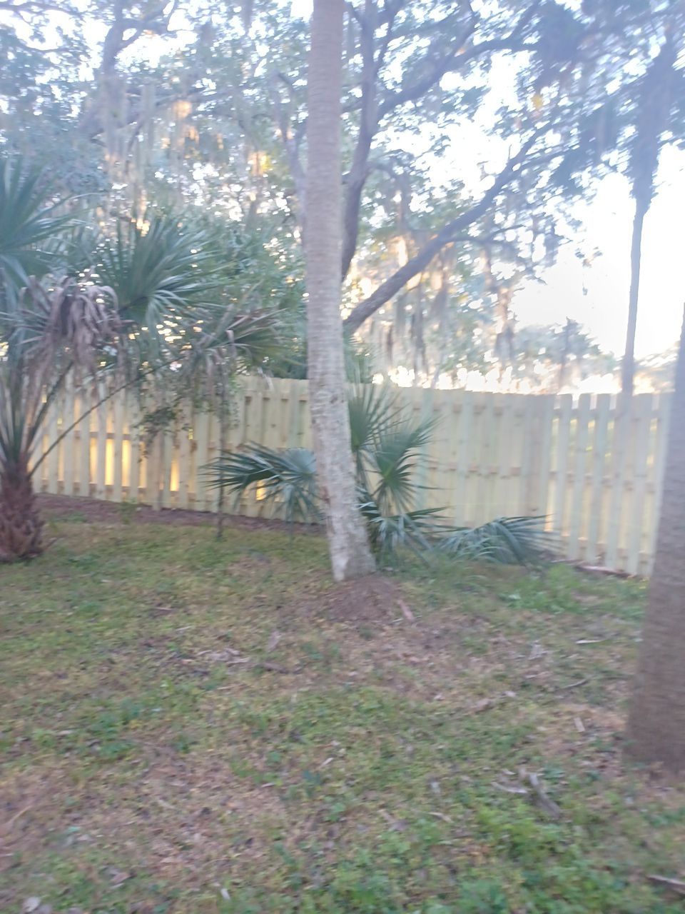 Sarasota, FL 4ft. Tall 3-Rail Aluminum Fence by Asap fence and gates, LLC