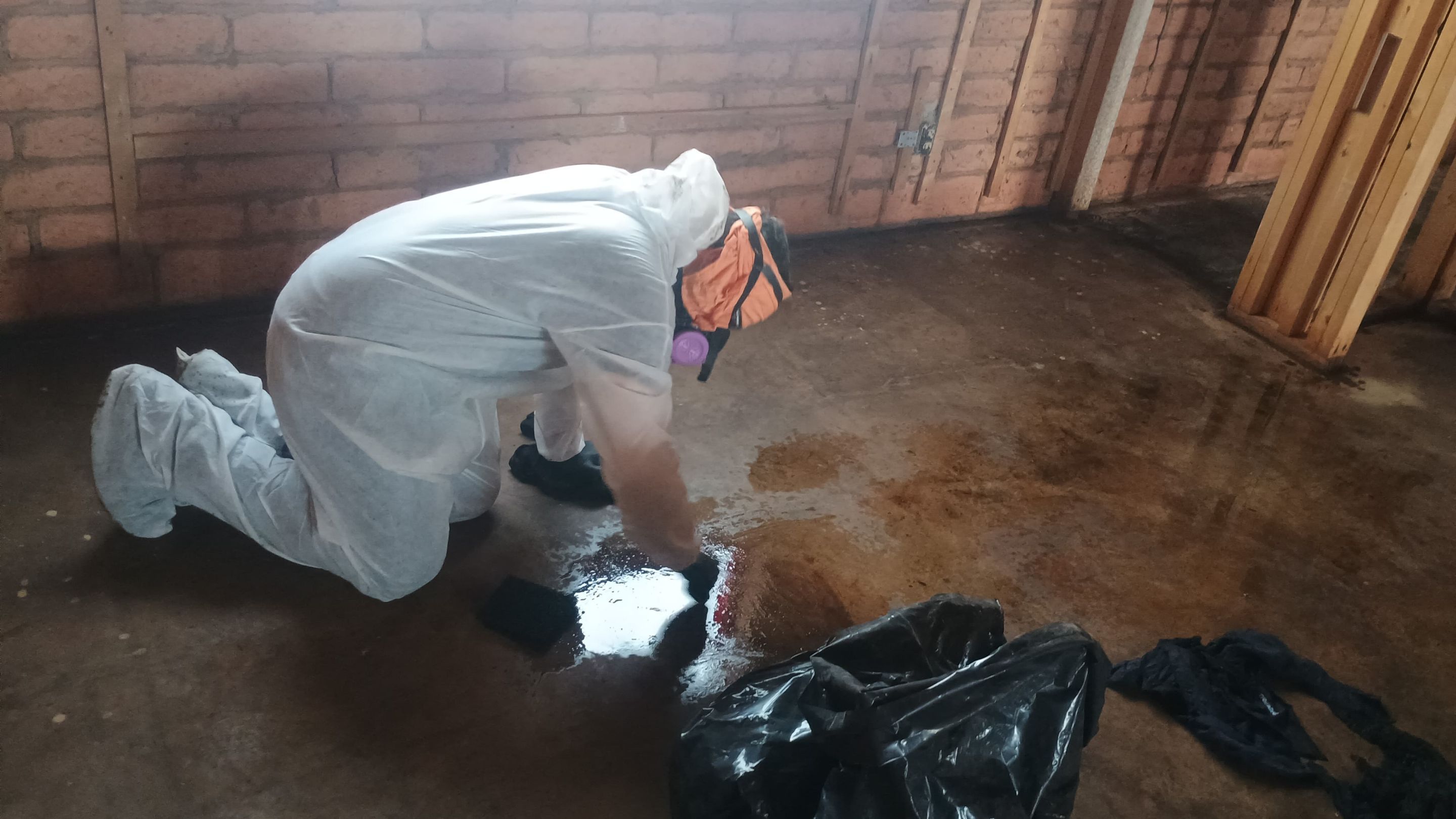 Project in Chandler, AZ by Desert Valley Abatement, LLC