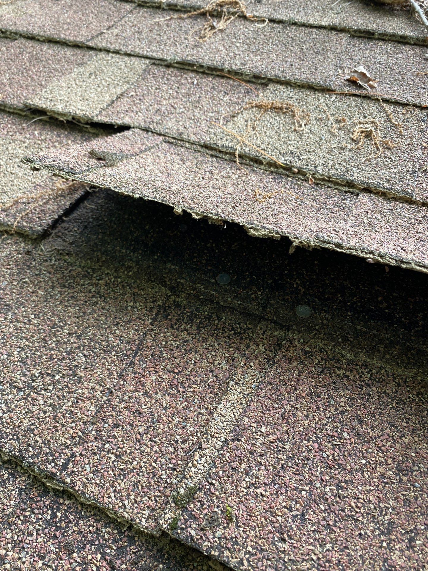Roof Replacement & Skylight Installation in Bedford, MA by Mighty Dog Roofing of Greater Middlesex County