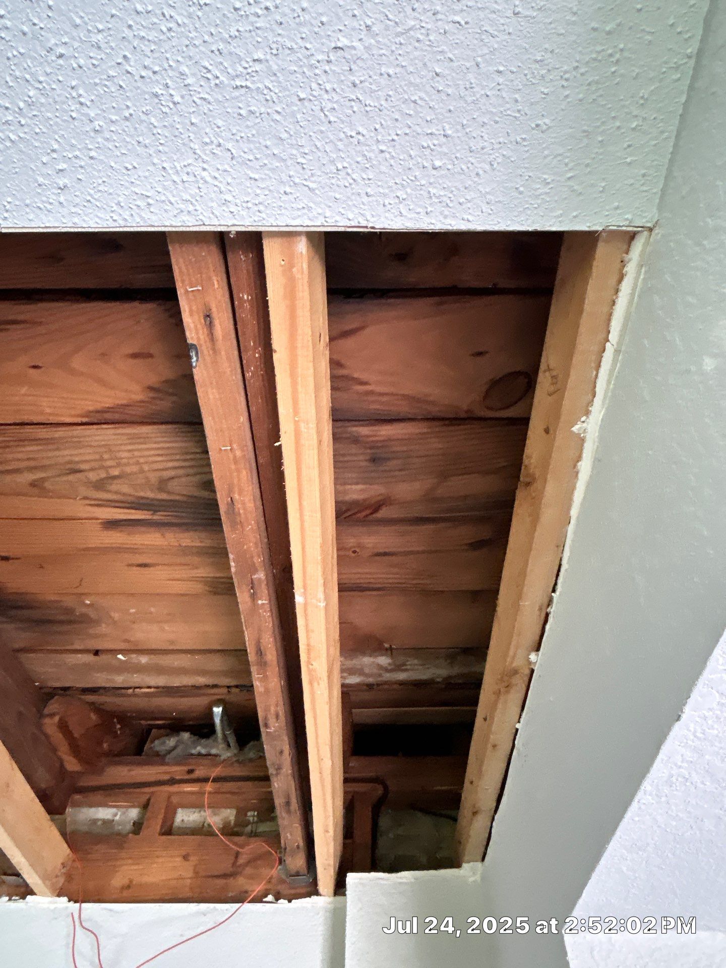 Mold Inspection & Mold Removal In St. Petersburg, FL by Ampm Restoration Services