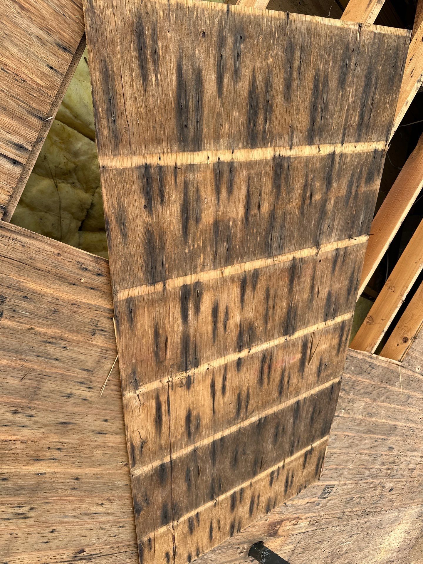 Project in West Haven by Elitex Roofing