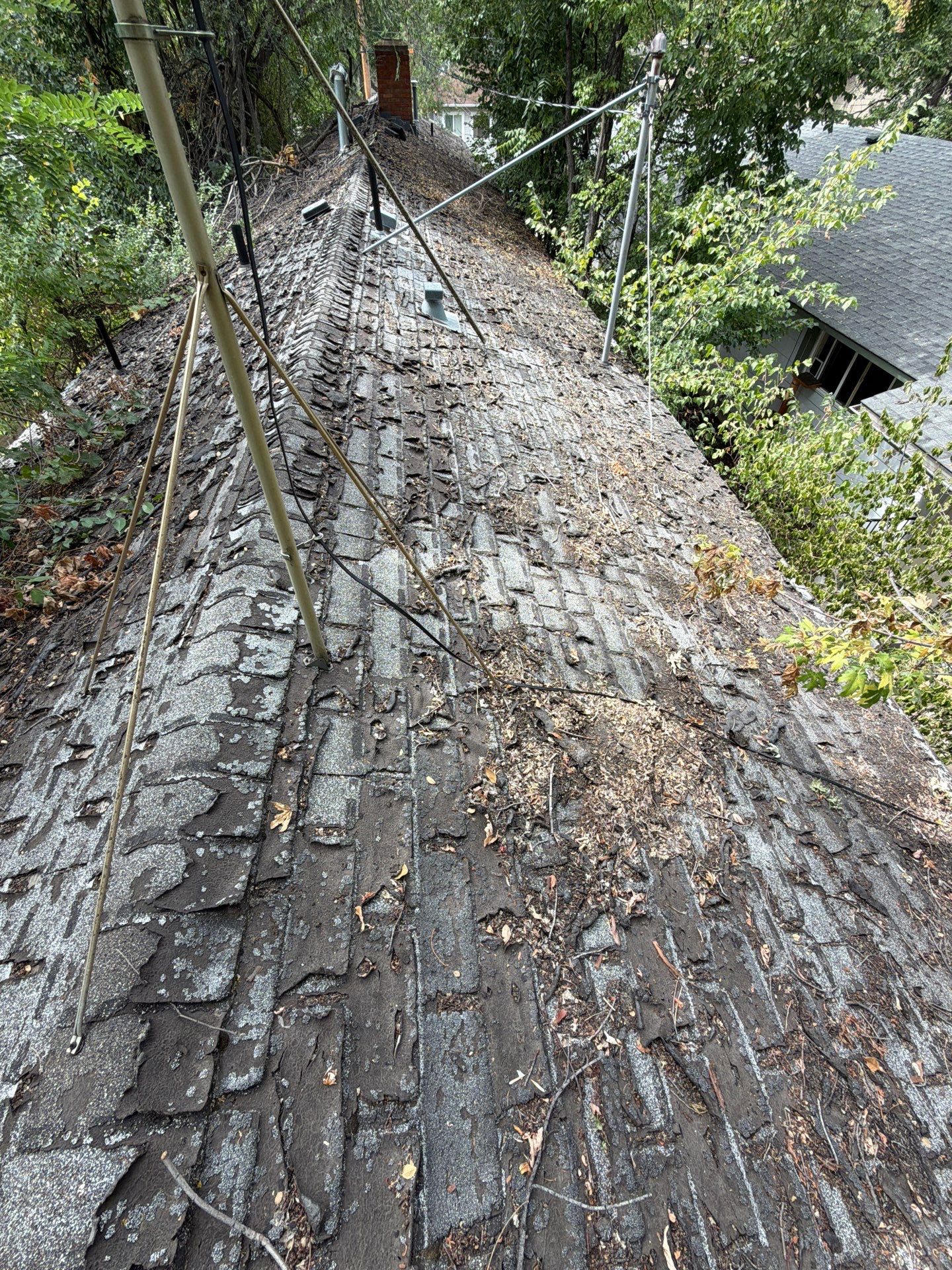 Boise Residential Roof Replacement Featuring Architectural Shingles and New Decking by Olive Roofing