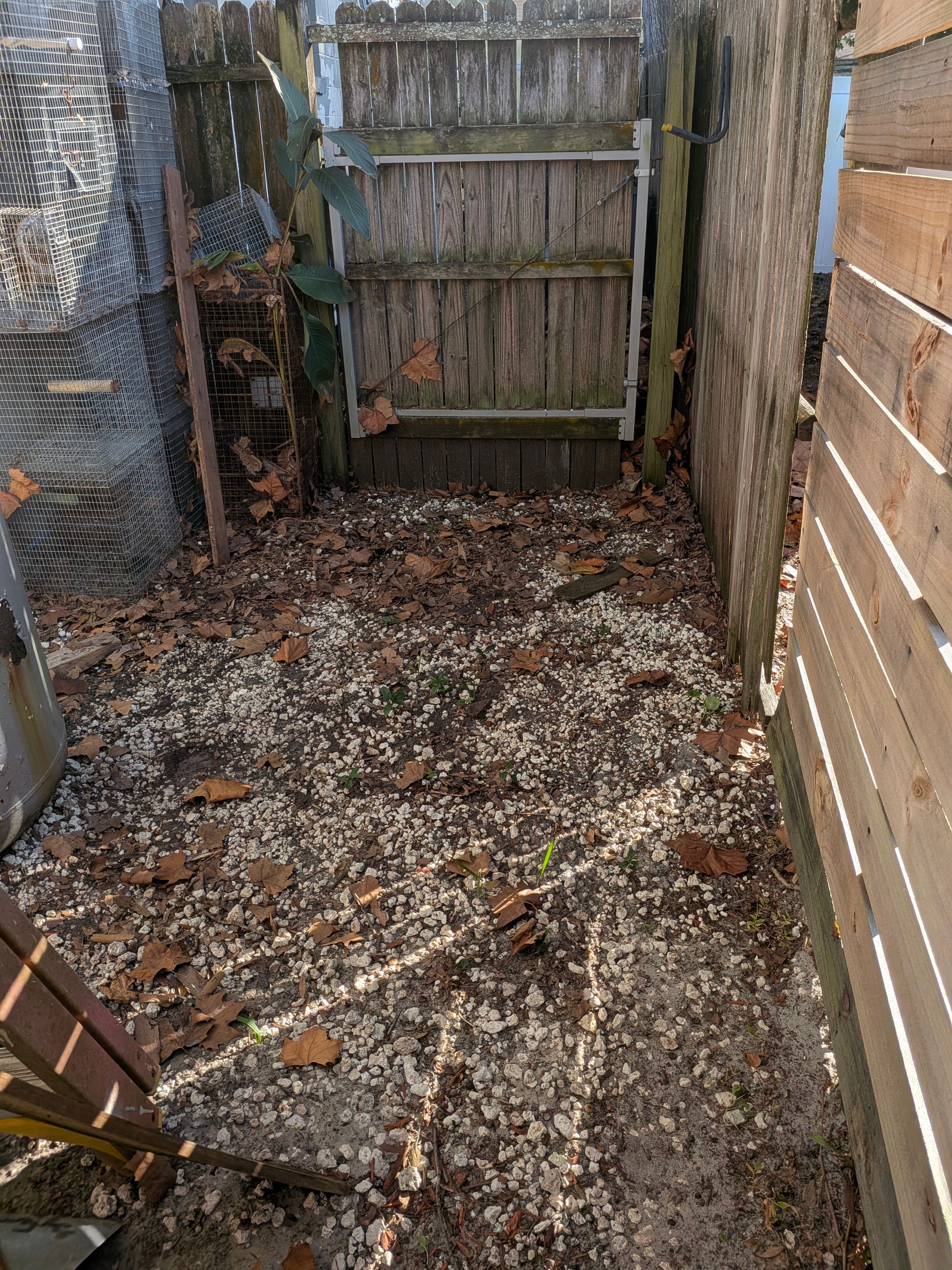 Large-Scale Leaf Removal & Property Cleanup — Jacksonville, FL (Arlington Area) by Harmoni Home Services