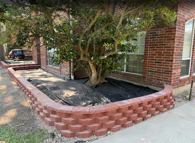 From HOA Headaches to Head-Turning Curb Appeal: Travis's Front Yard Makeover! 🤩