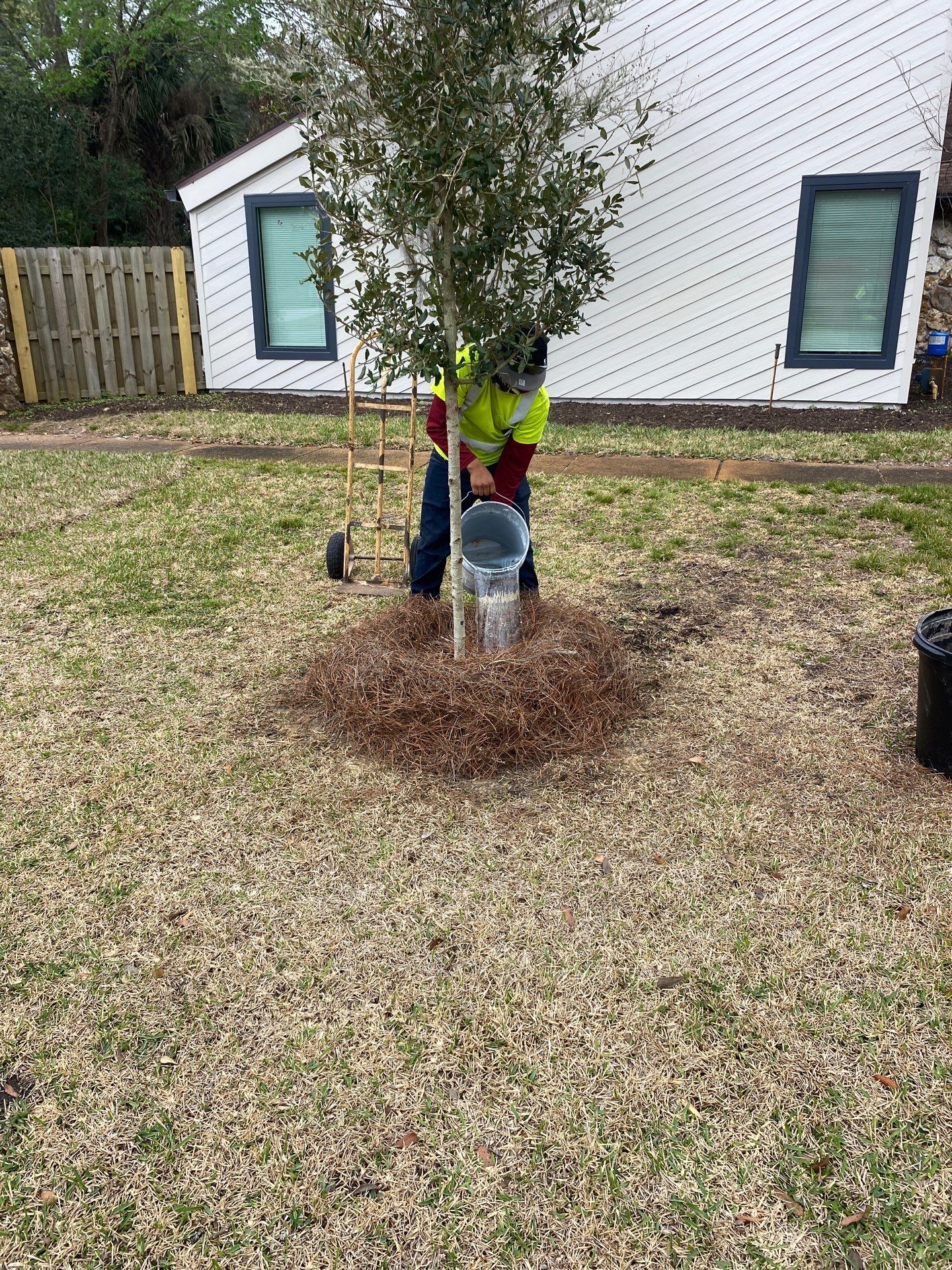 Deerwood Resident | Tree Install by ProGreen Services