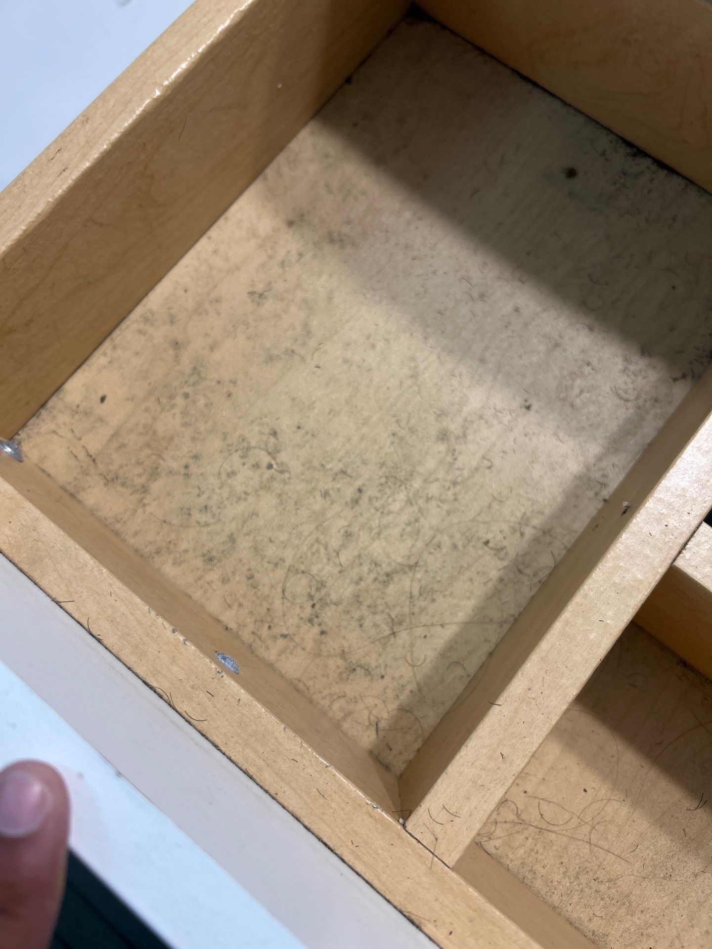 Mold Remediation In Sarasota, FL  by Ampm Restoration Services 