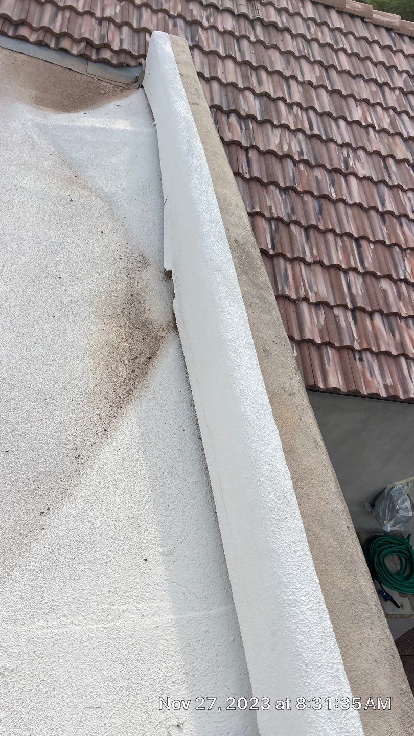 Exterior Painting - Carefree by Crash of Rhinos Painting & Garage Floors