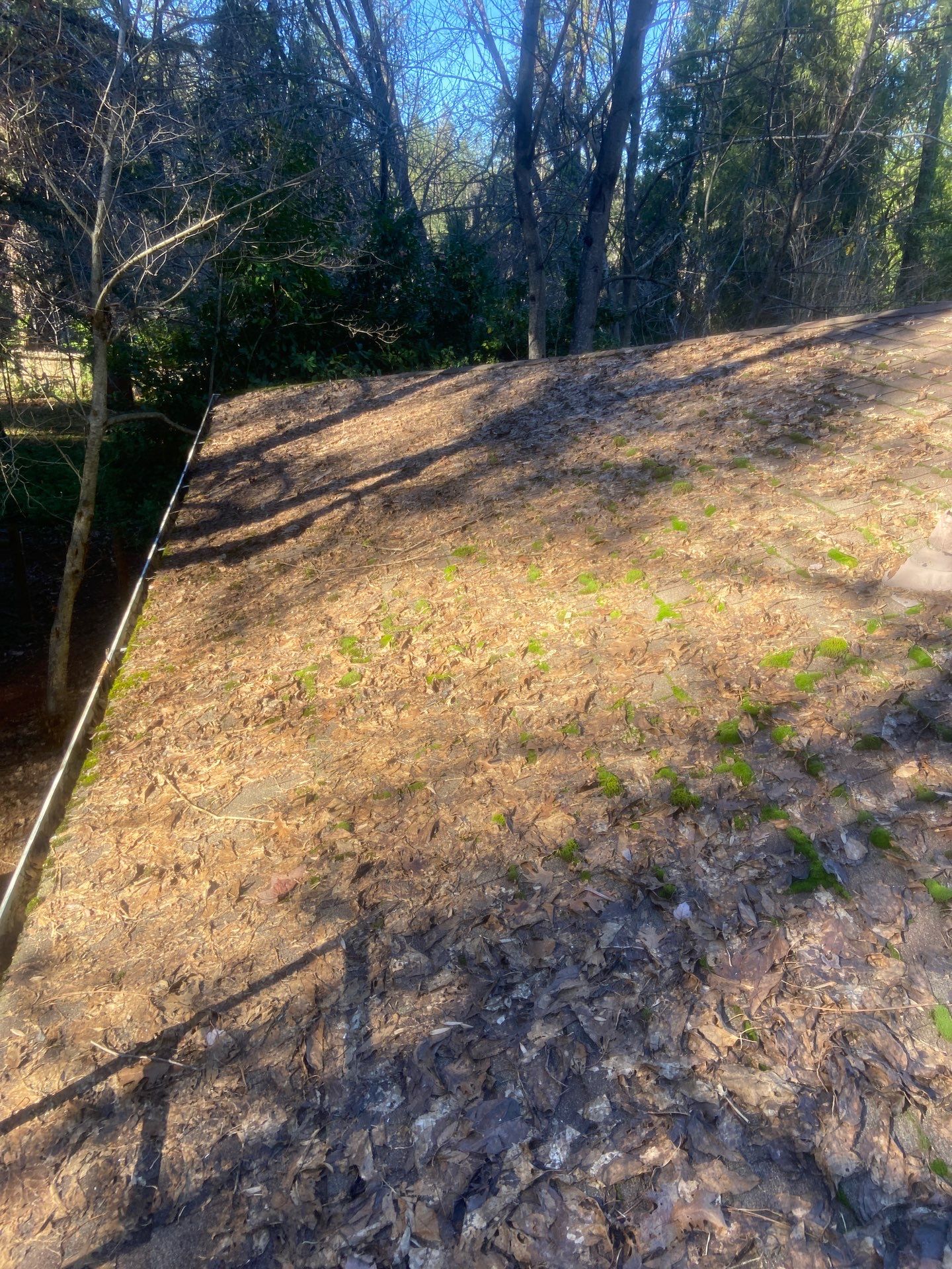 Roof Rejuvenation using Roof Maxx Treatment by Roof Maxx of Folsom