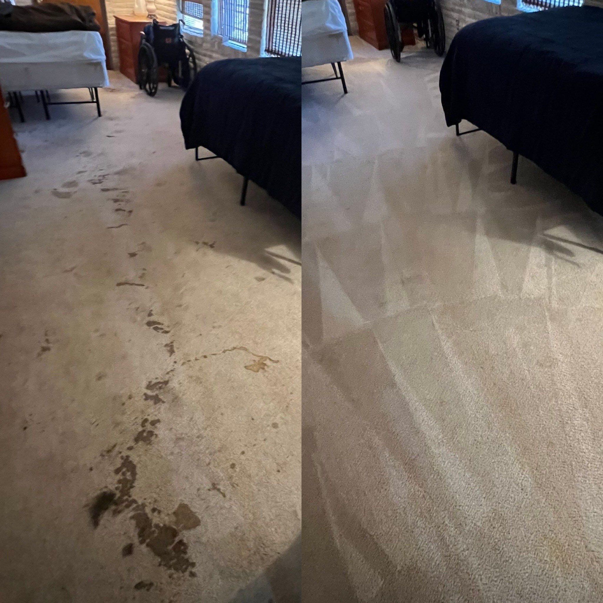 the service shown is carpet cleaning removing stains and restoring the appearance of the carpeted area following treatment