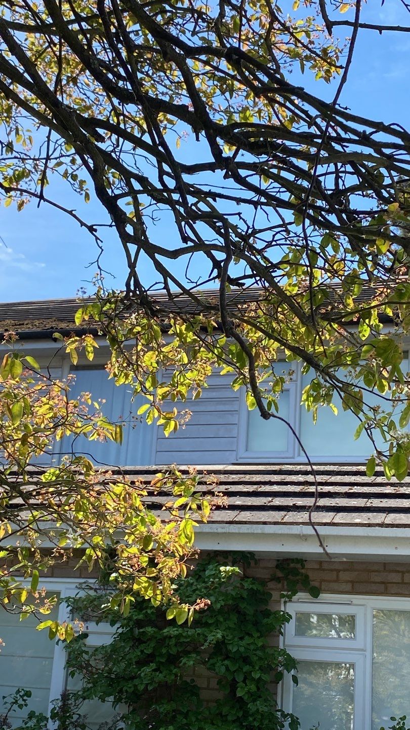 Roof Clean - Moss Removal using Honda 15lpm Low Pressure Washing Machine by Ges Exterior Cleaning ltd