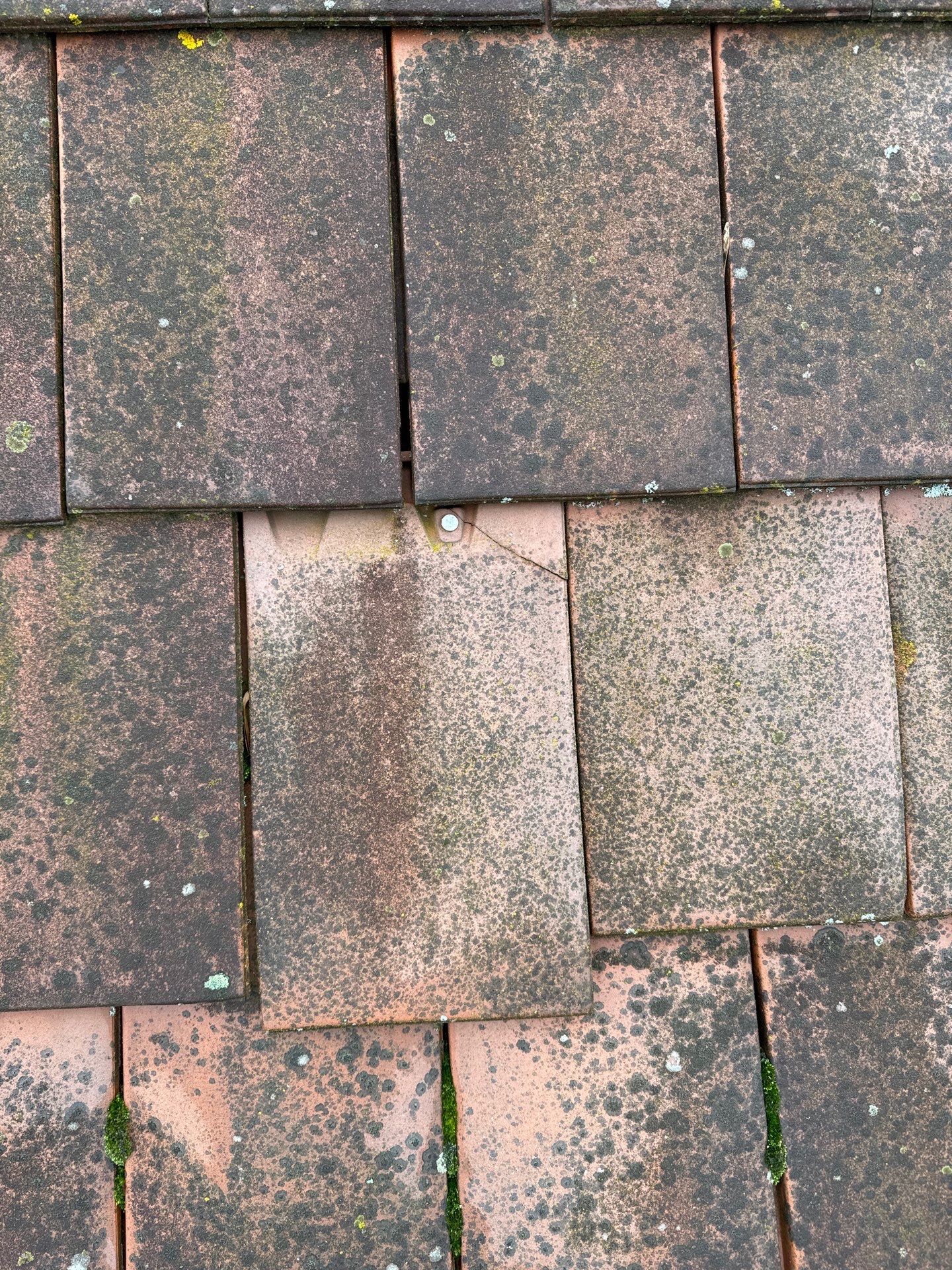 Large Care Home Roof Clean using Mosmatic FSC and Biocide by Ges Exterior Cleaning ltd