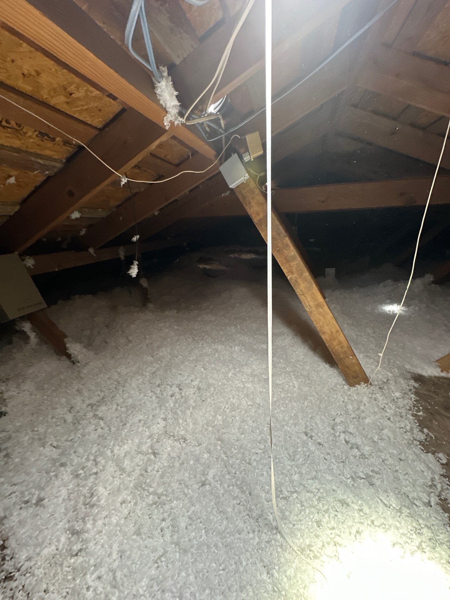 R49 Attic blow  by Apex Insulation Solutions