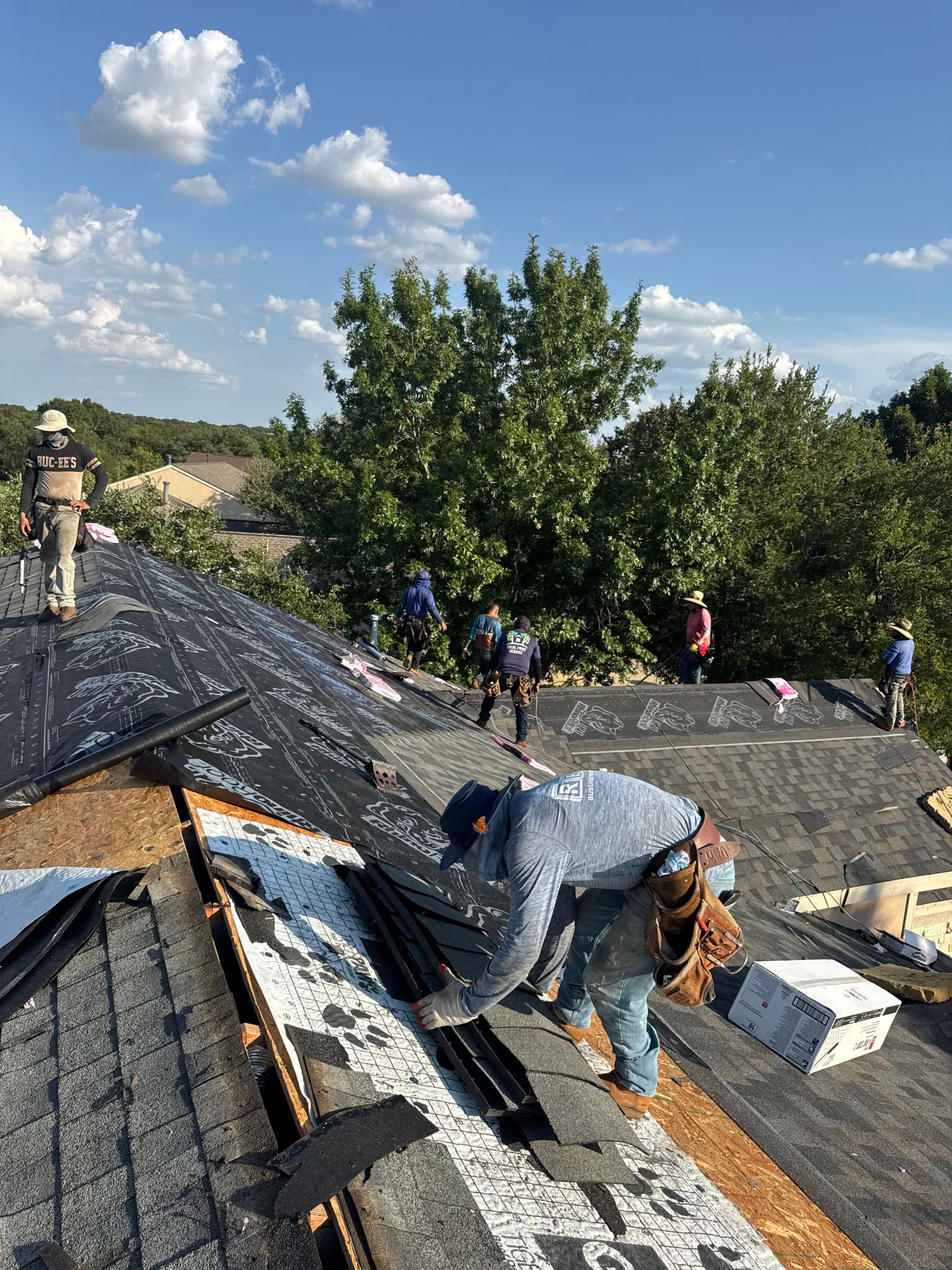 Architectural shingle Georgetown by REPS OF TEXAS
