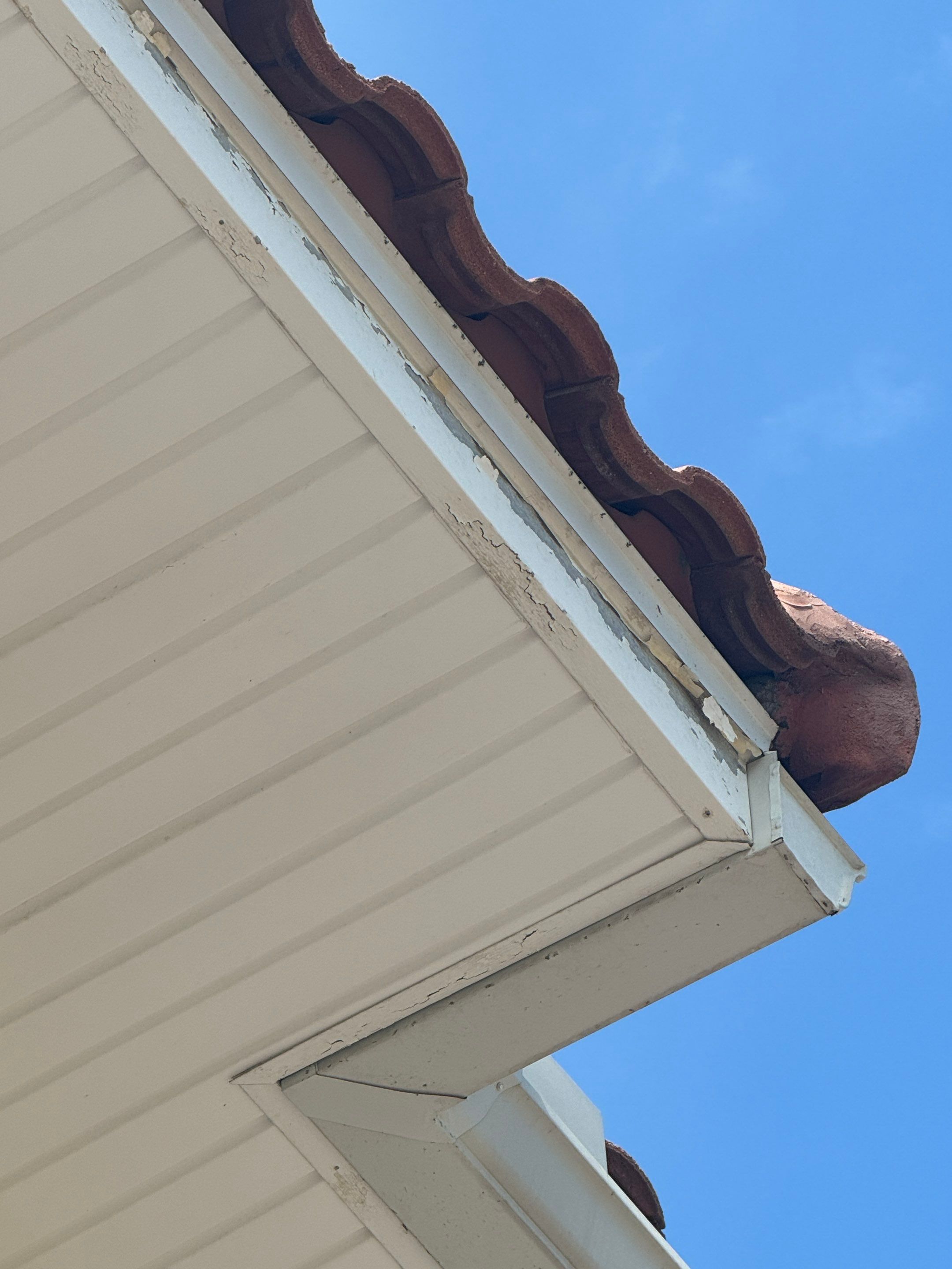 Project in Atlantic Beach by Colorwise Painting