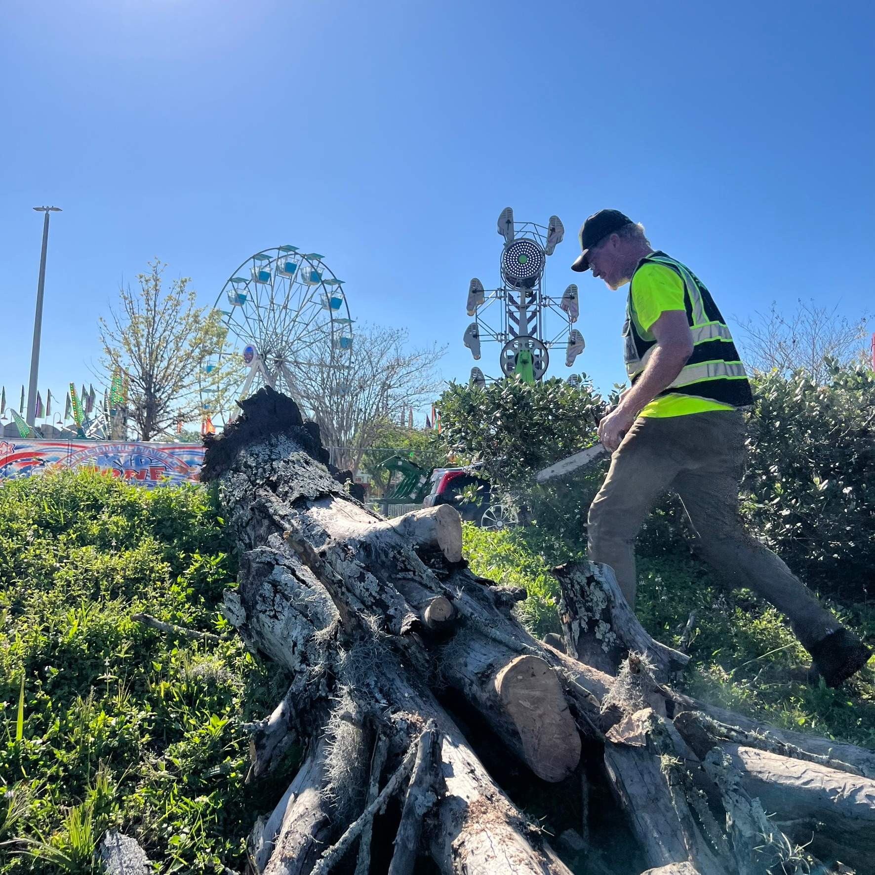 Tree Work | The Avenues Mall by ProGreen Services
