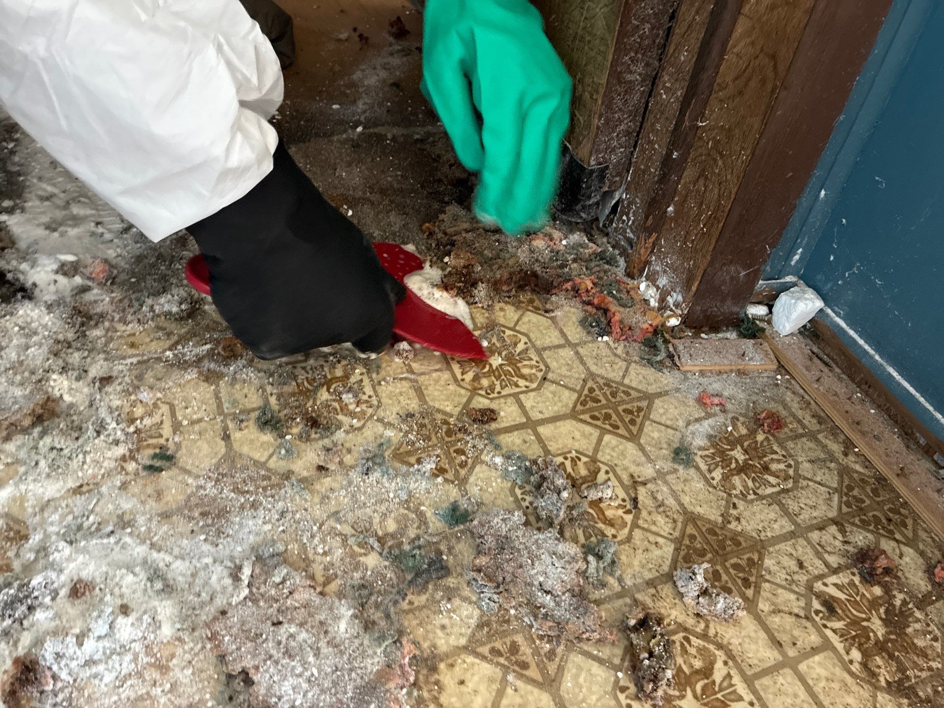 Project in Jackson by 911 Hazmat Cleanup 