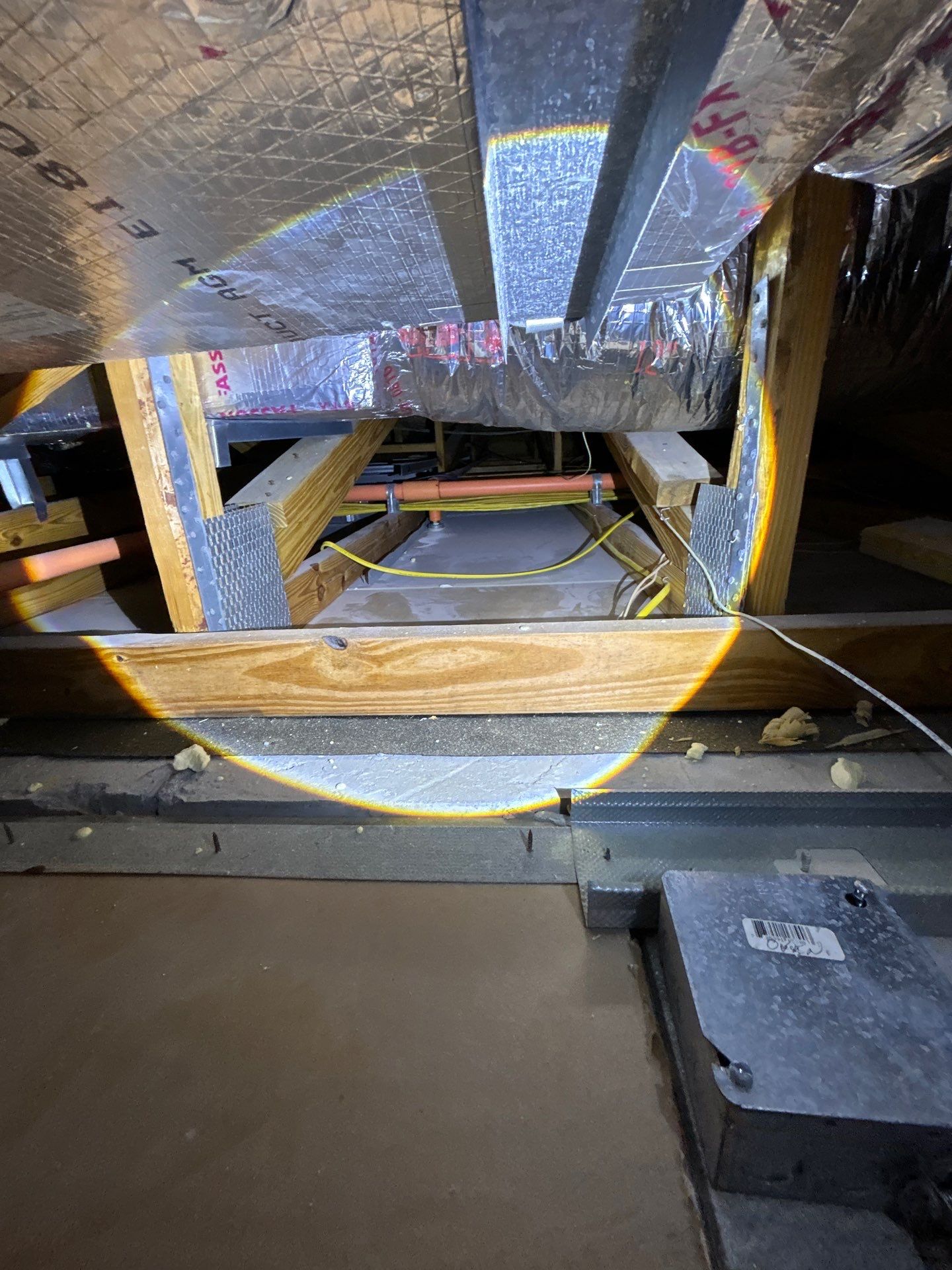 Mold Damage Restoration by Ampm Restoration Services