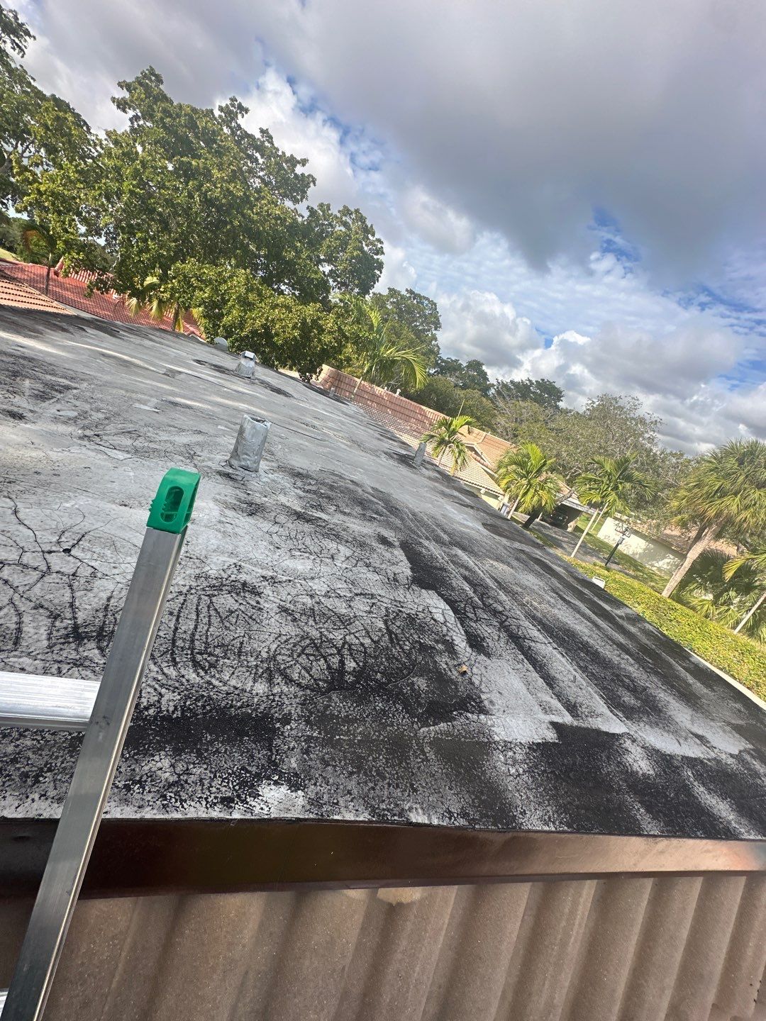 Project in Hollywood