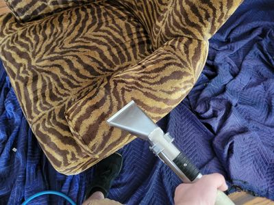 Upholstery Cleaning in Tahoe Park