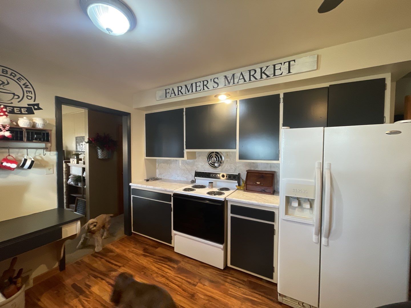 Painting Kitchen Cabinets and Walls using Sherwin Williams paint by Lightning Exteriors