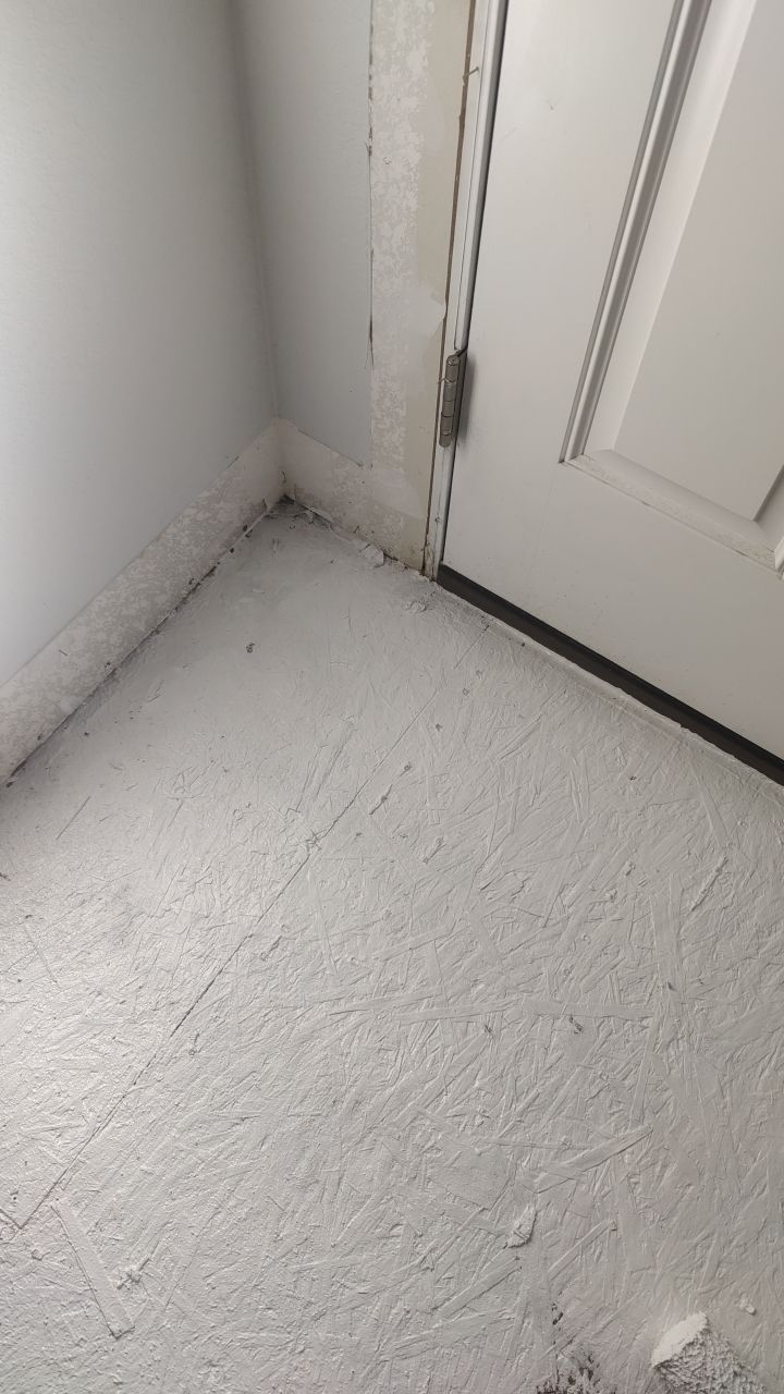 Mold Remediation  by Accountable Home Services