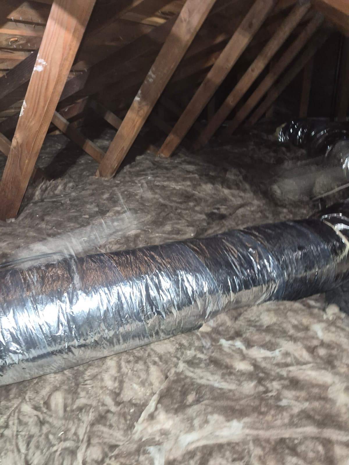 Project by Advanced Attic Solutions by Advanced Attic Solutions