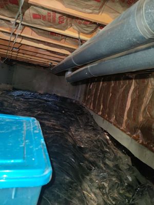 Project in Louisville