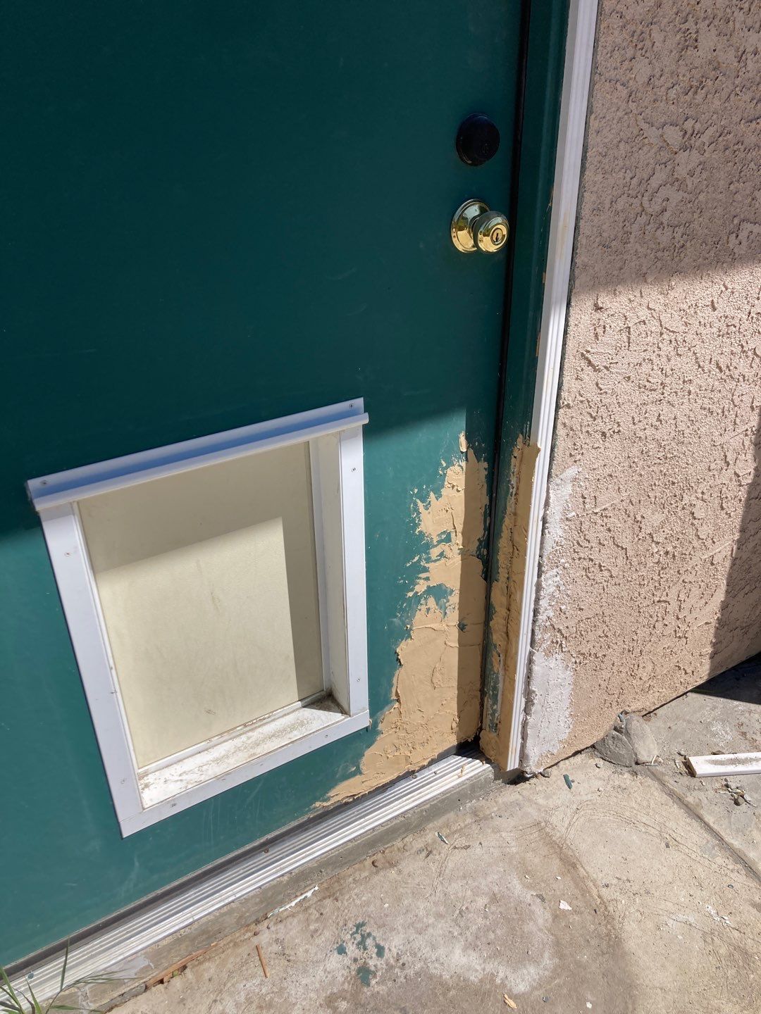 Repair Door Face by Andre Handyman