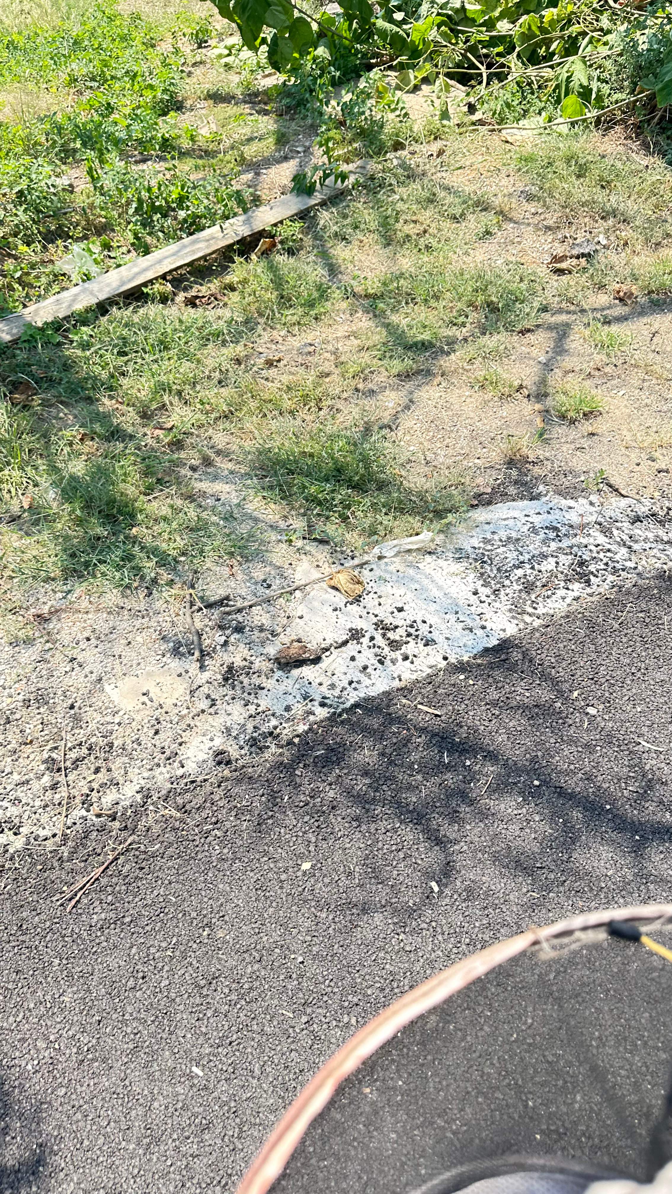 City Tree Company  by Rockwall Honey Bee Company