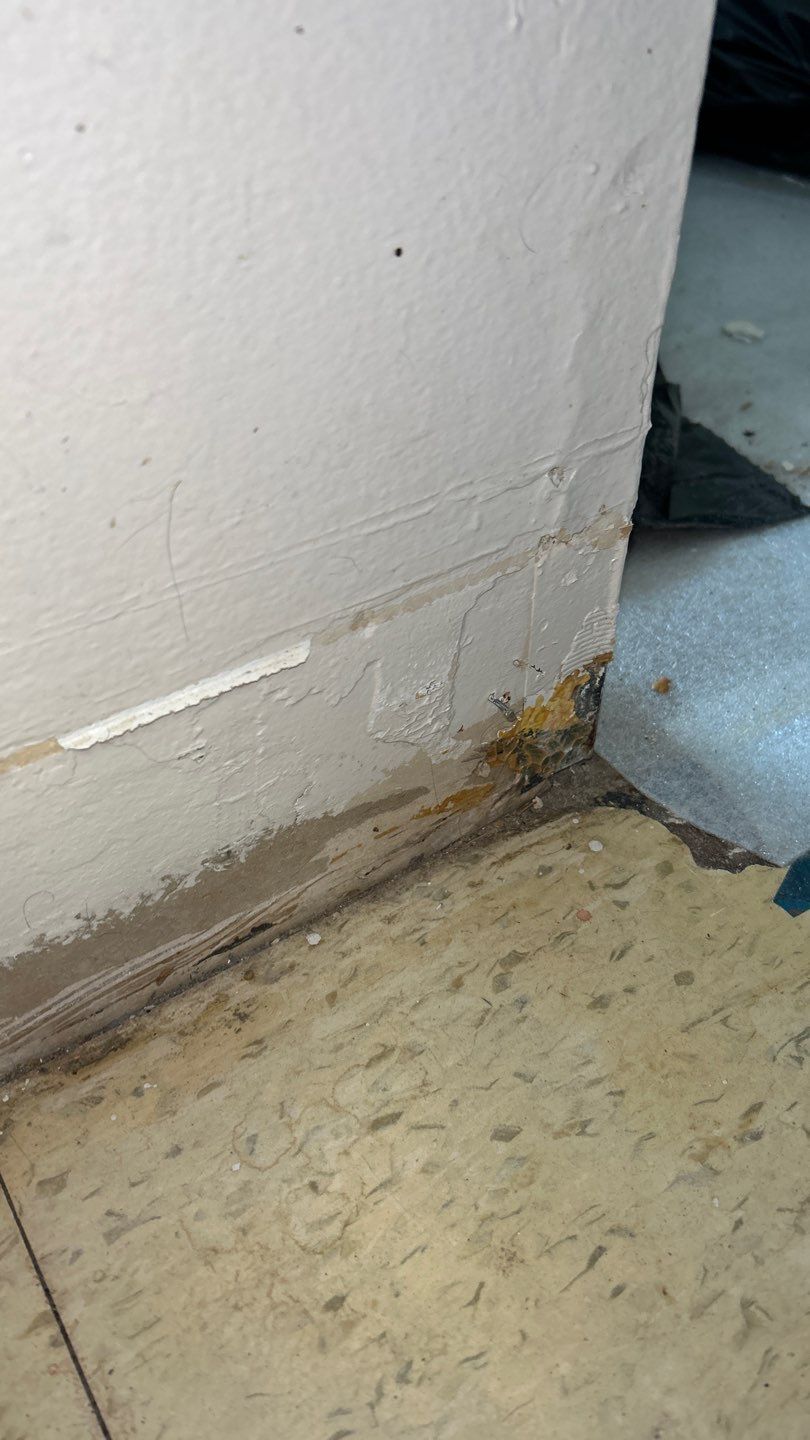 Mold Remediation by Accountable Home Services