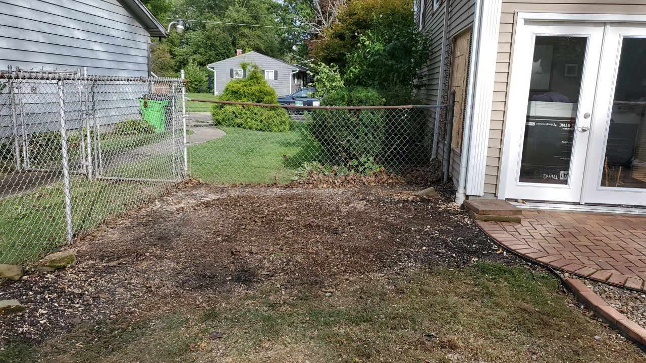 Oak Tree Removal by Mike Jones & Sons Tree Service LLC 