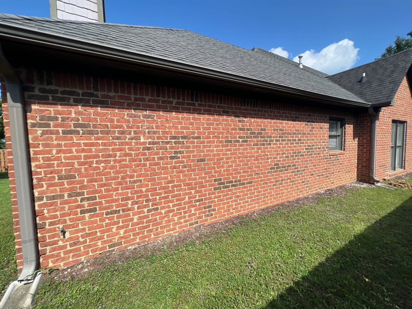 Downing Park - Paint by Pillar and Pine