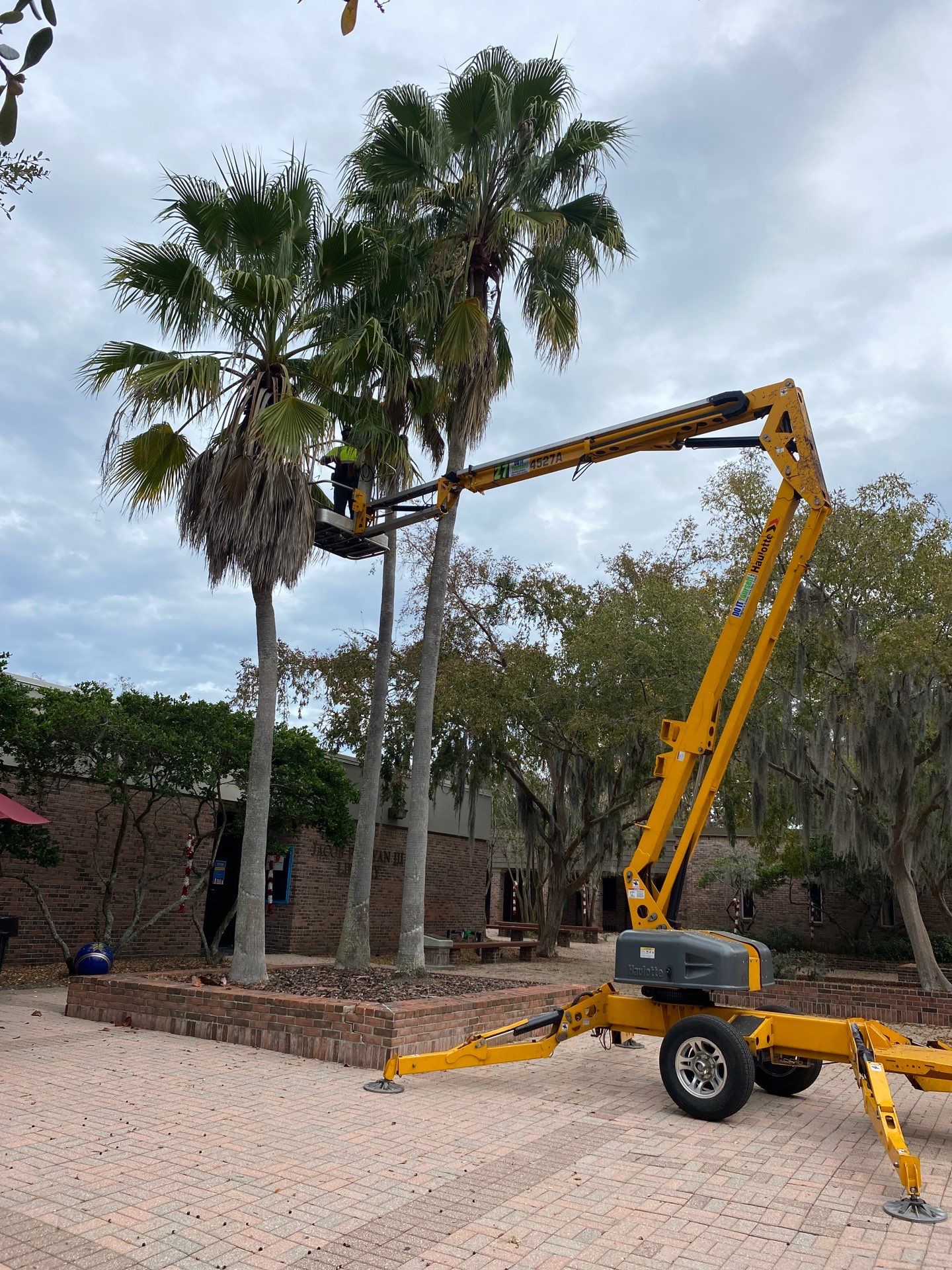 Volunteer Work | Episcopal High School of Jacksonville by ProGreen Services