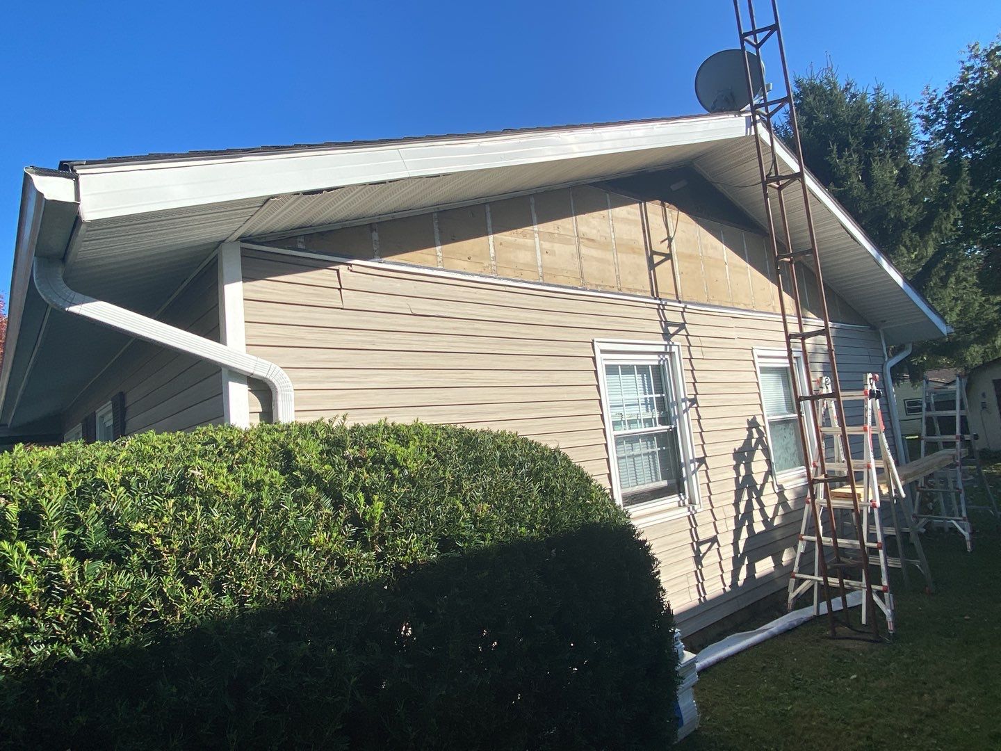 Vicki Dayton by Silver Leaf Contracting 